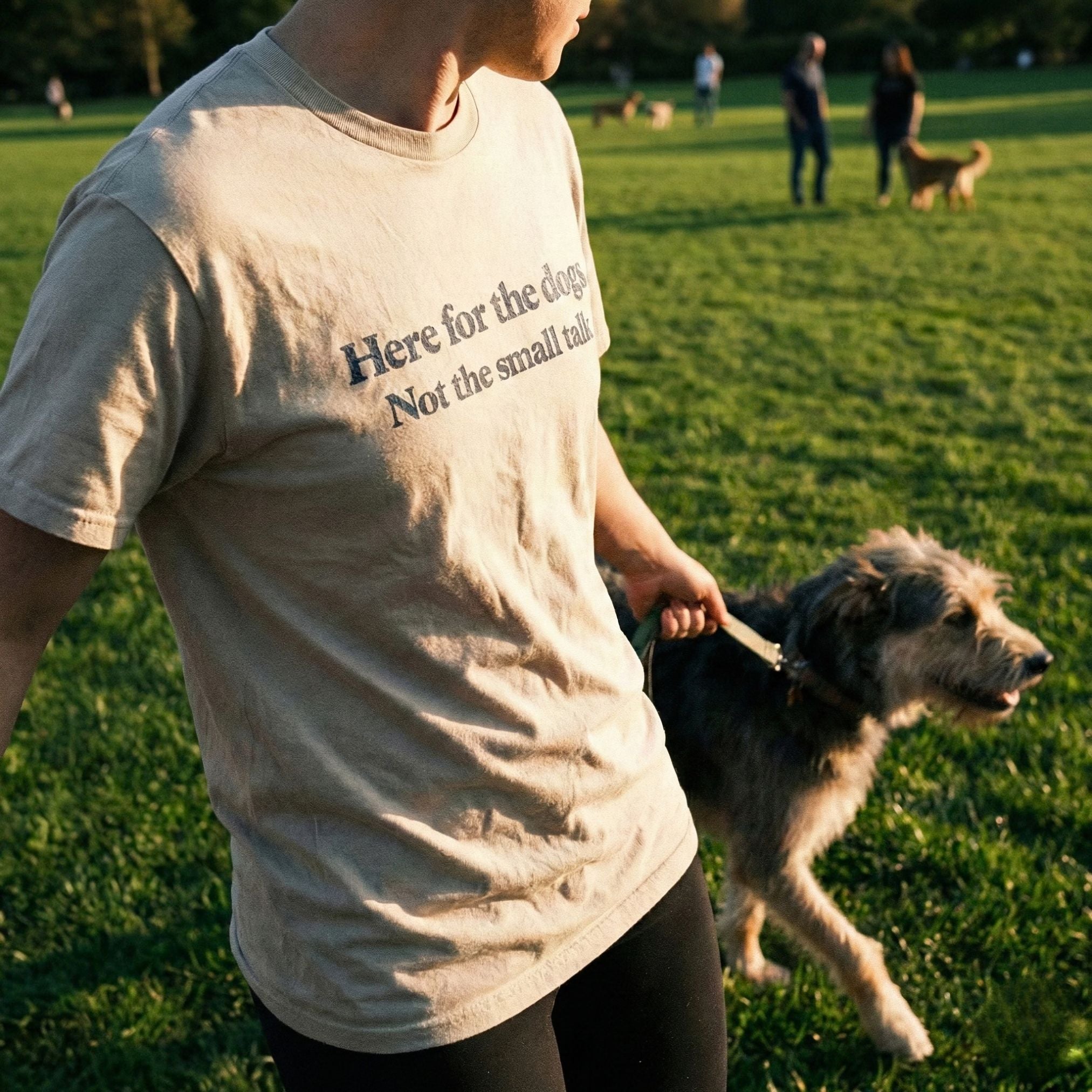 The 7-Minute Reset Walk (for dog lovers with a low social battery)