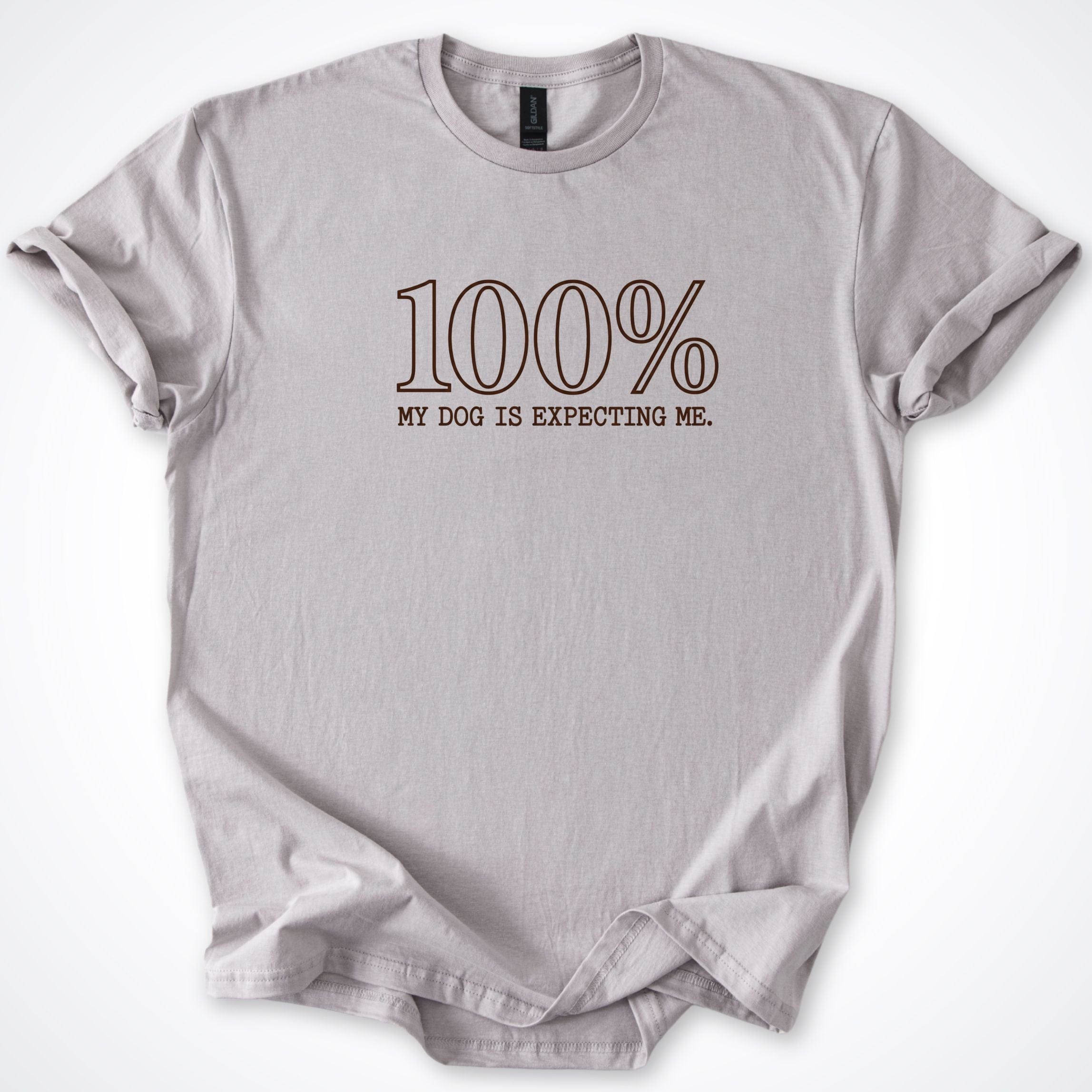T-Shirt Ice Grey / S 100% My Dog Is Expecting Me T-Shirt ReallyintoDogs