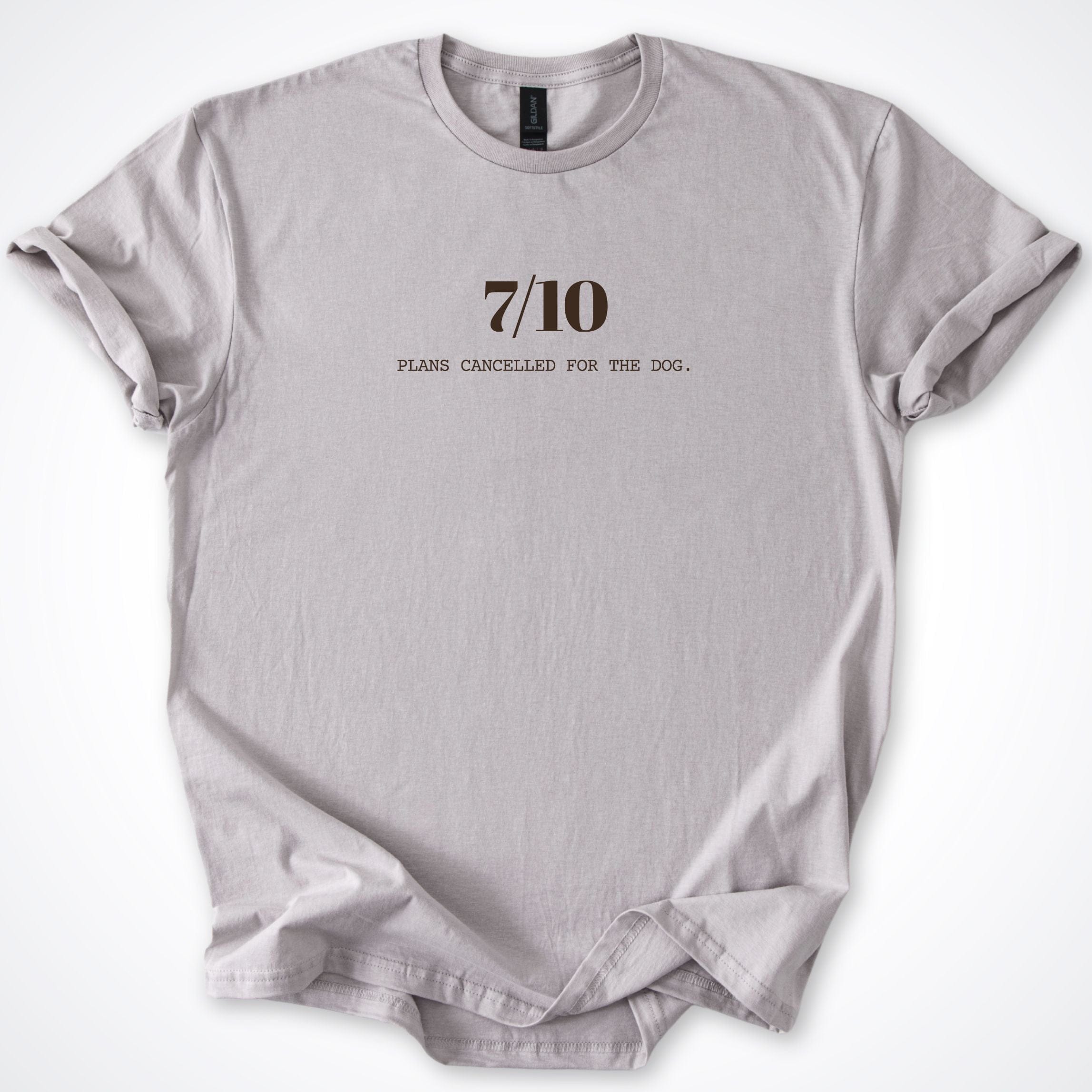 T-Shirt Ice Grey / S 7/10 Plans Cancelled For My Dog T-Shirt ReallyintoDogs