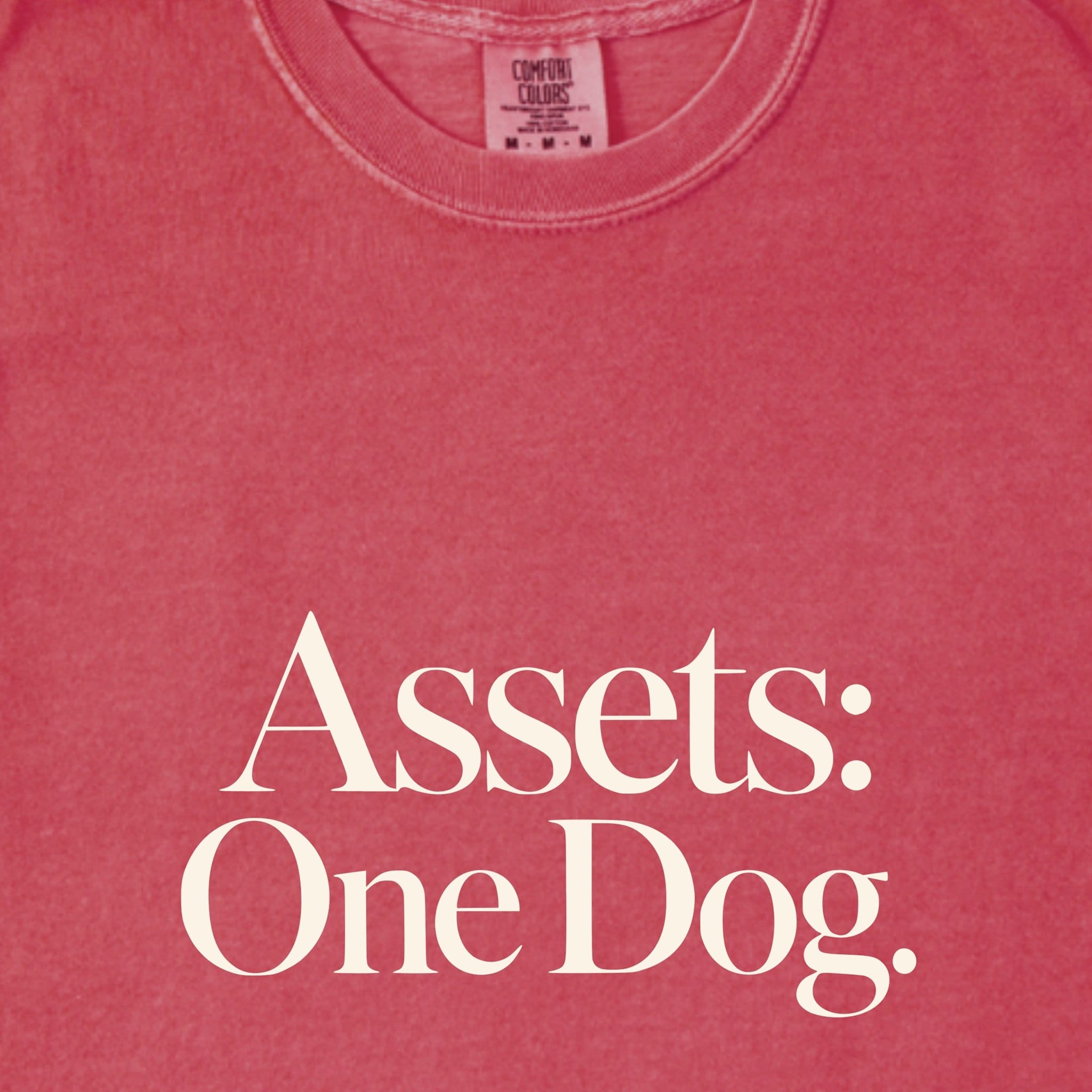 T-Shirt Assets: One Dog. Premium T-Shirt ReallyintoDogs