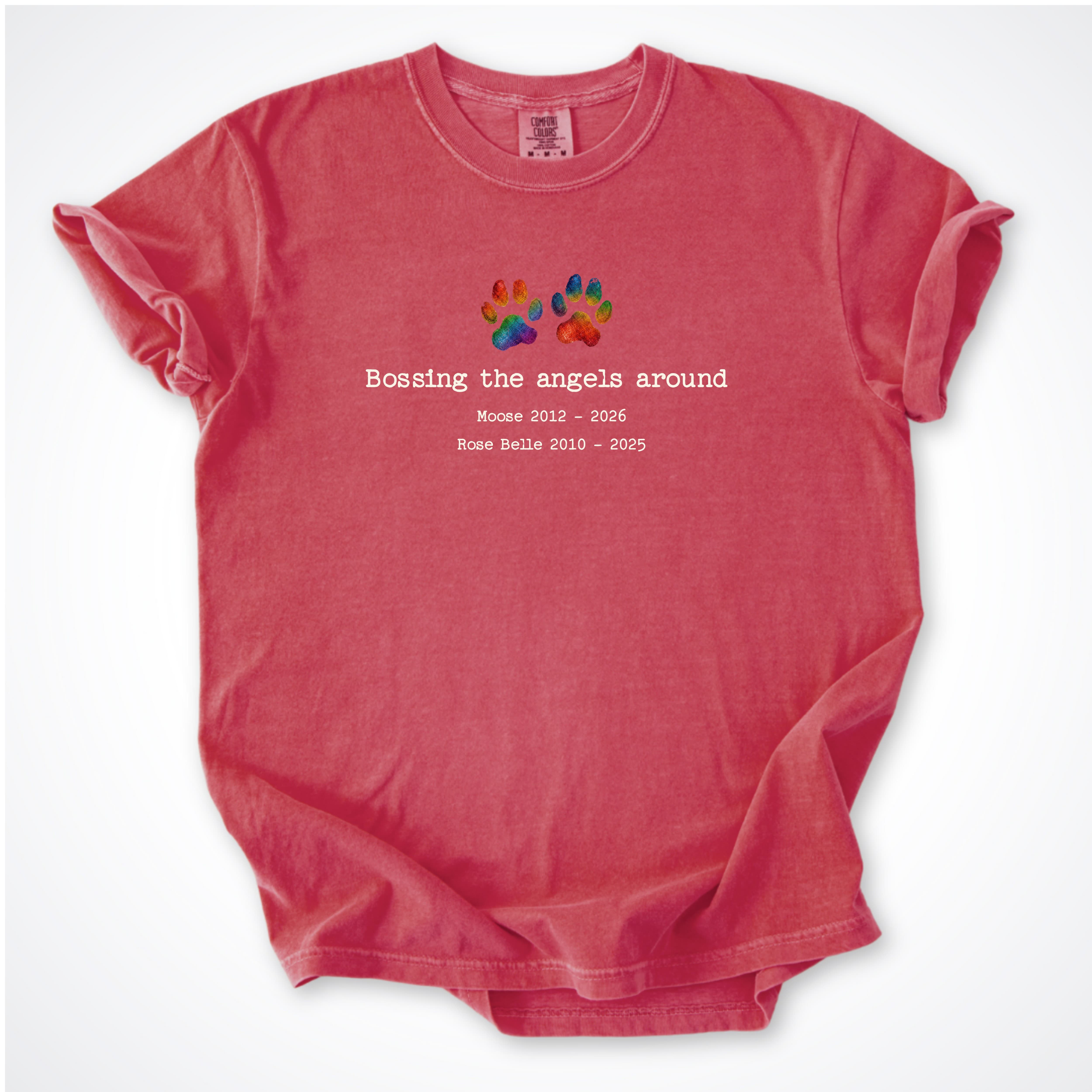 T-Shirt Watermelon / S Bossing The Angels Around 2 Dogs - Personalized Memorial Premium T-Shirt ReallyintoDogs