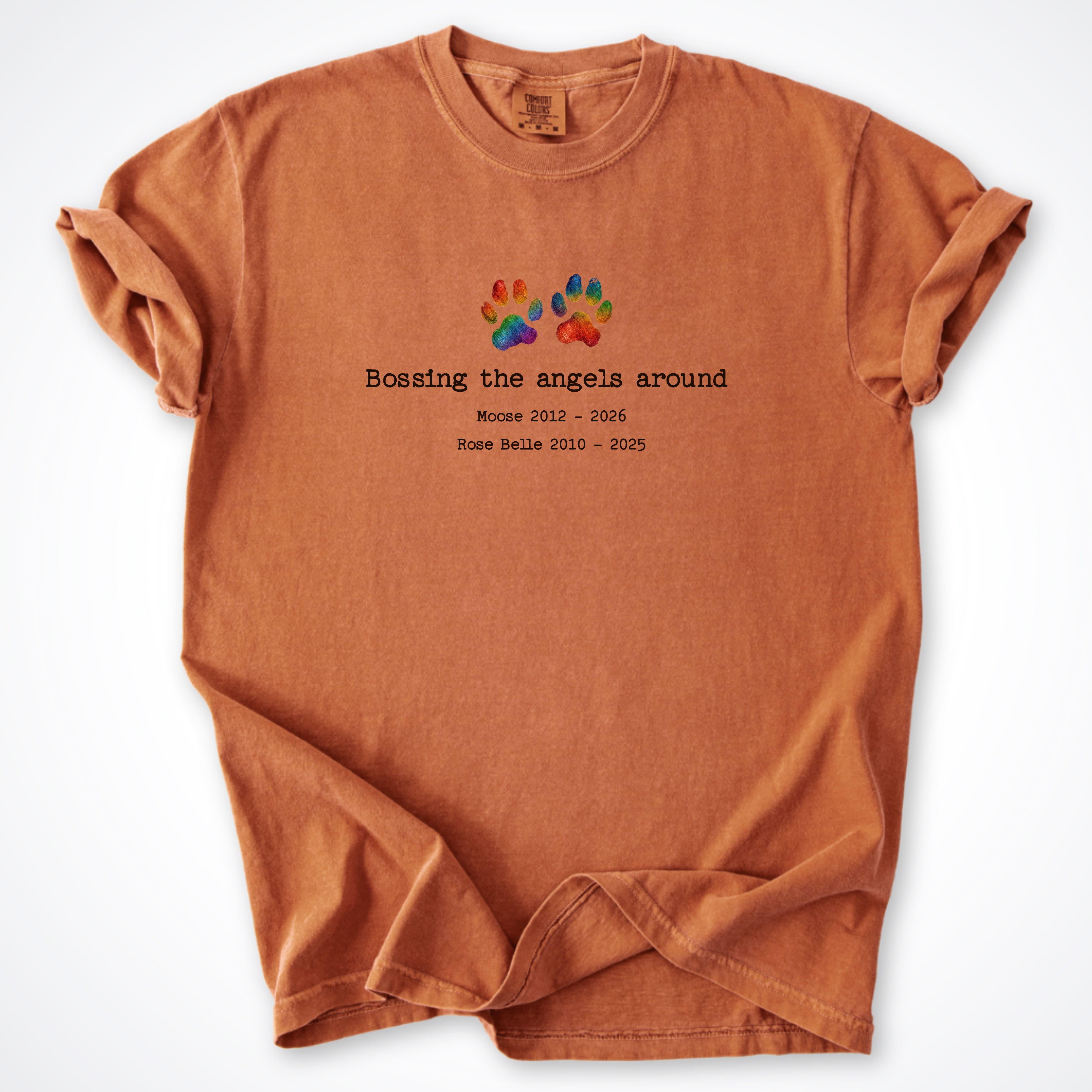T-Shirt Yam / S Bossing The Angels Around 2 Dogs - Personalized Memorial Premium T-Shirt ReallyintoDogs