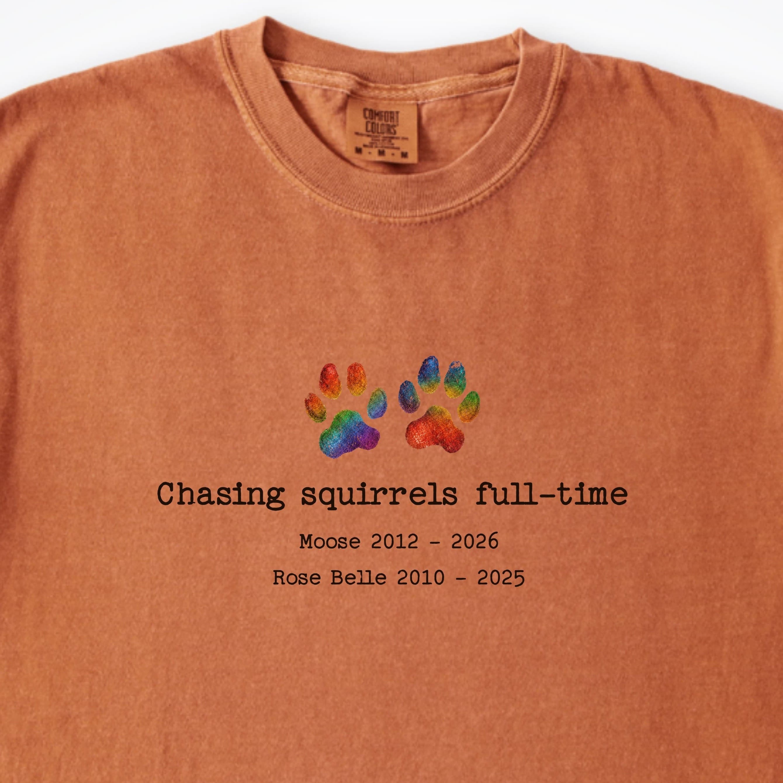 T-Shirt Chasing Squirrels Full-Time 2 Dogs - Personalized Memorial Premium T-Shirt ReallyintoDogs