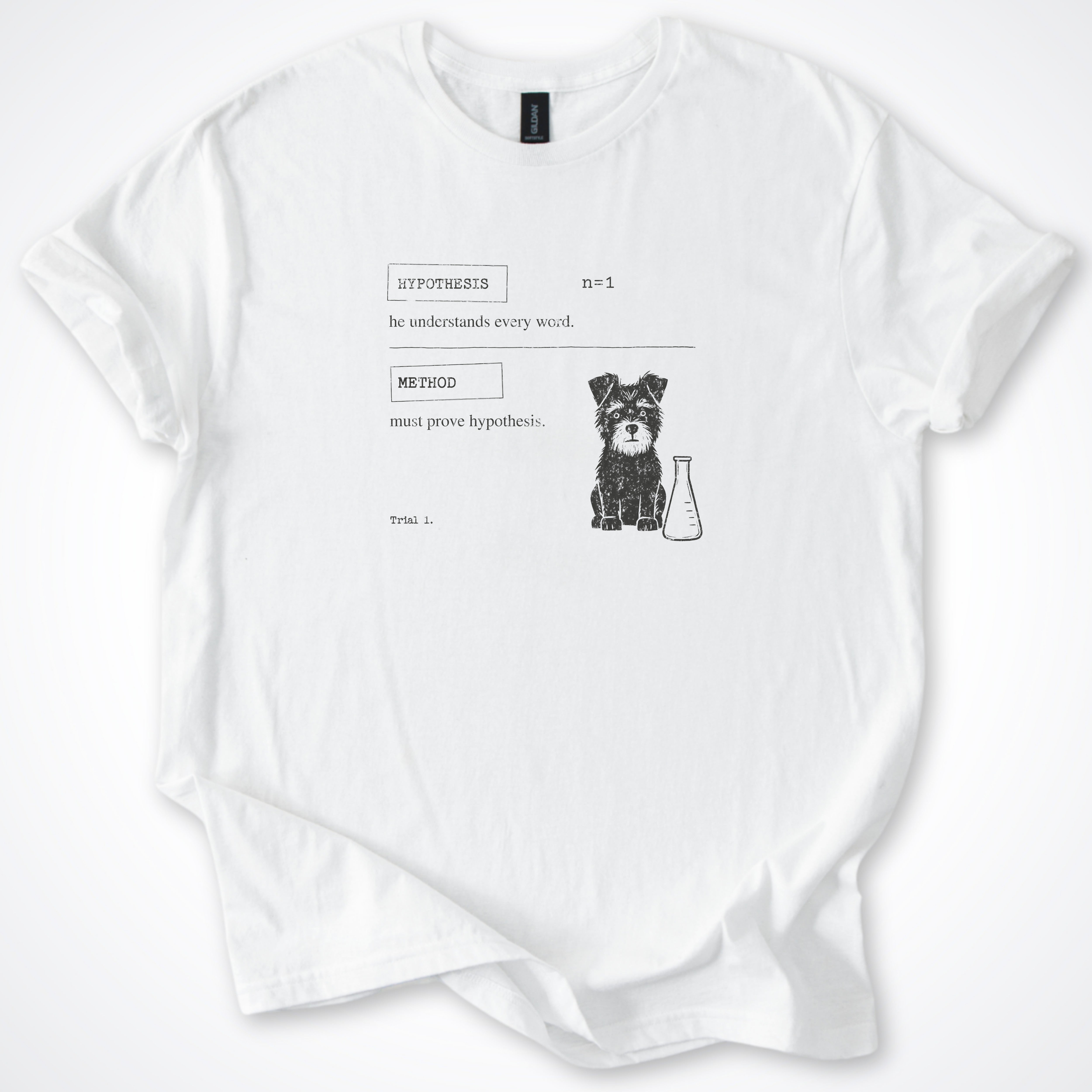 Hypothesis Classic T-Shirt