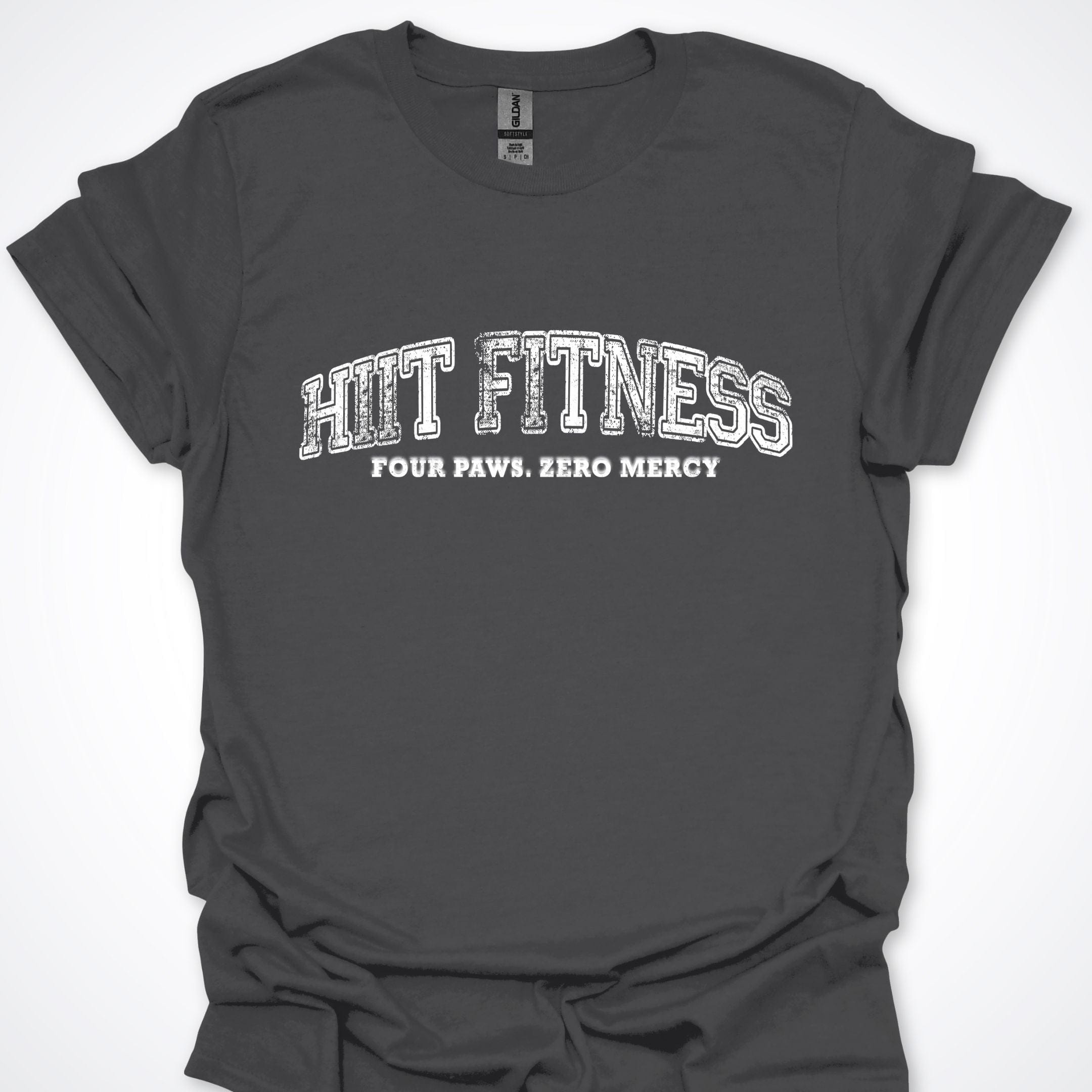 T-Shirt Charcoal / S HIIT Fitness T-Shirt ReallyintoDogs