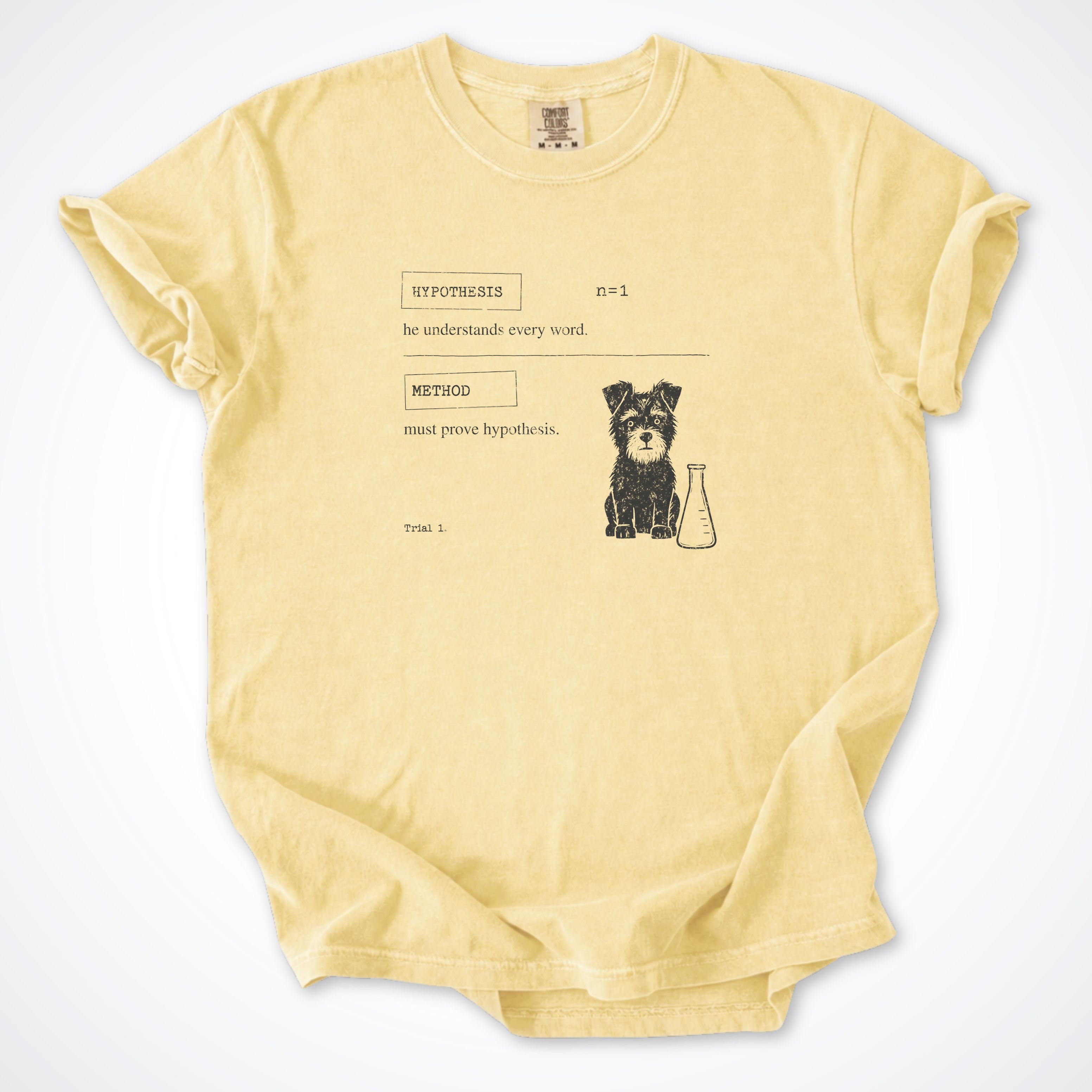 Hypothesis Premium T-Shirt