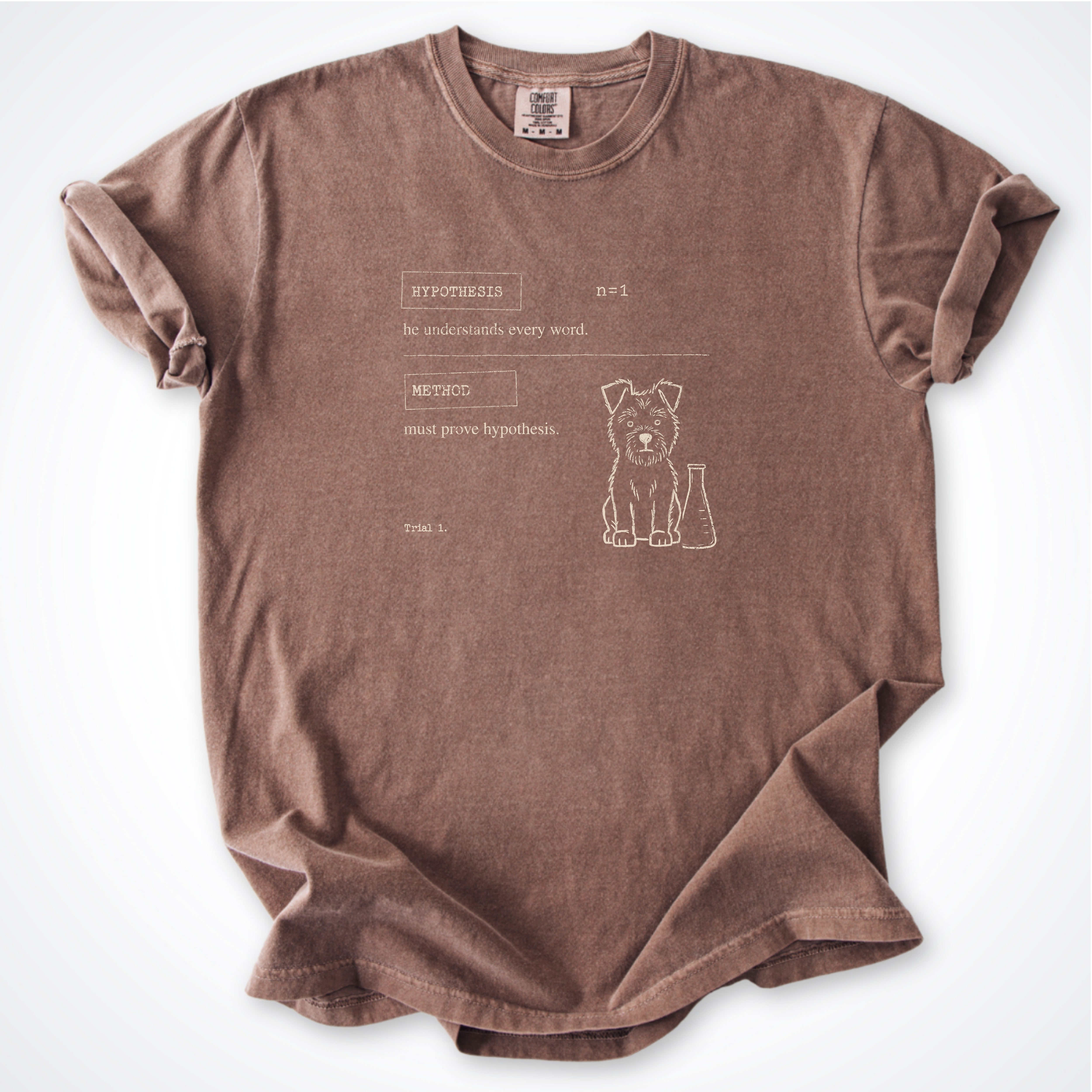 Hypothesis Premium T-Shirt