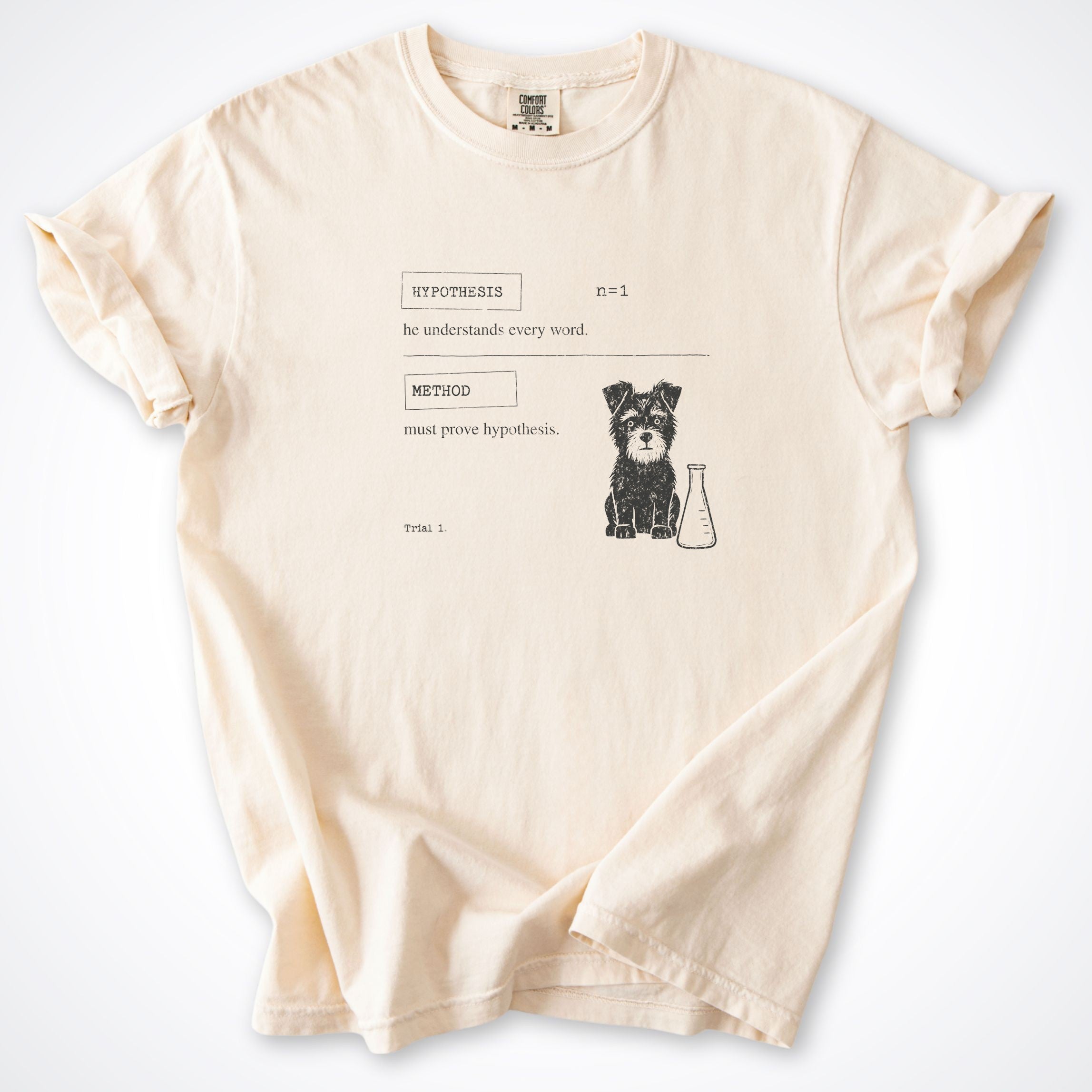 Hypothesis Premium T-Shirt