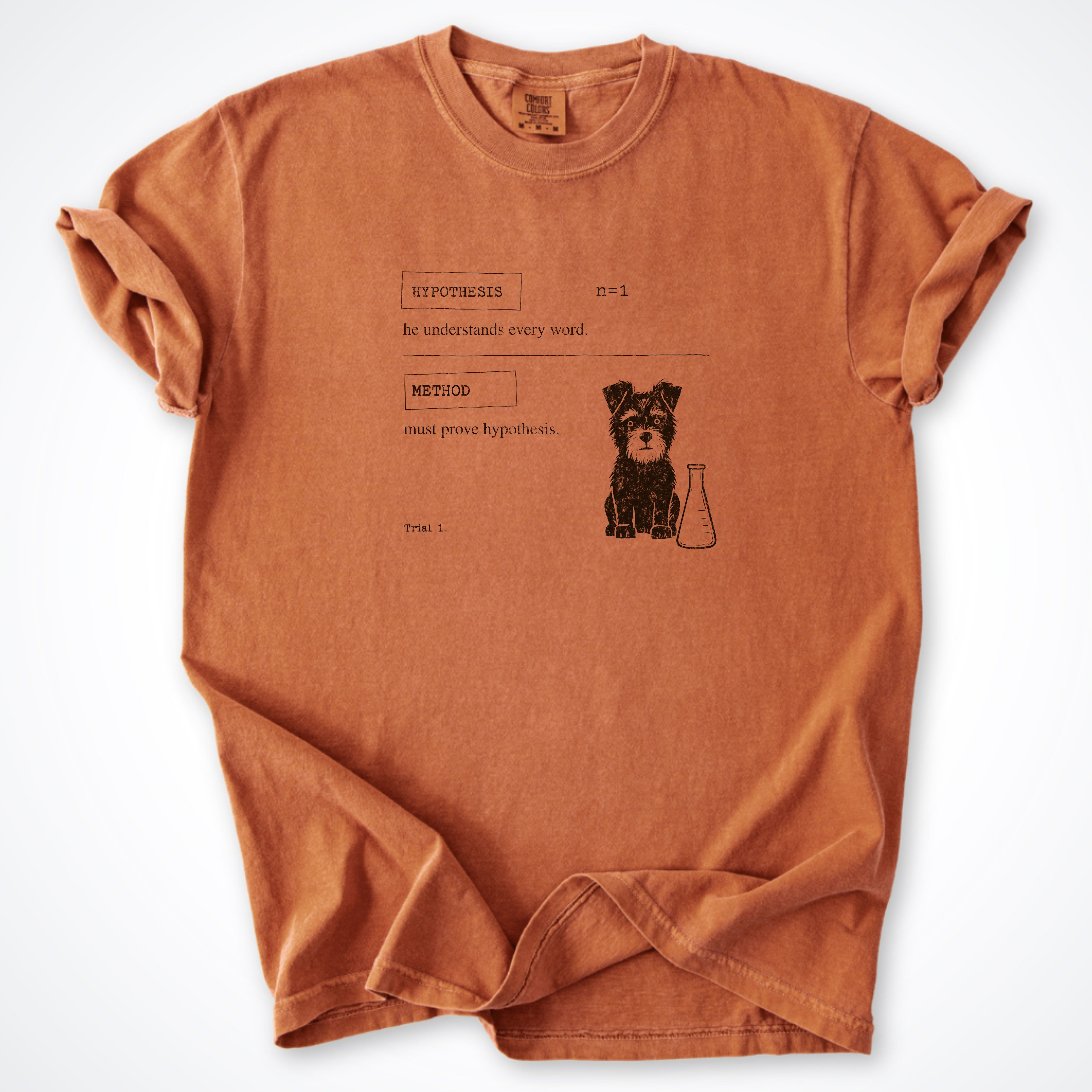 Hypothesis Premium T-Shirt