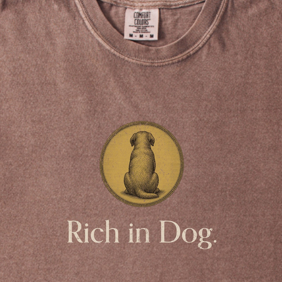 Rich in Dog Coin Premium T-Shirt