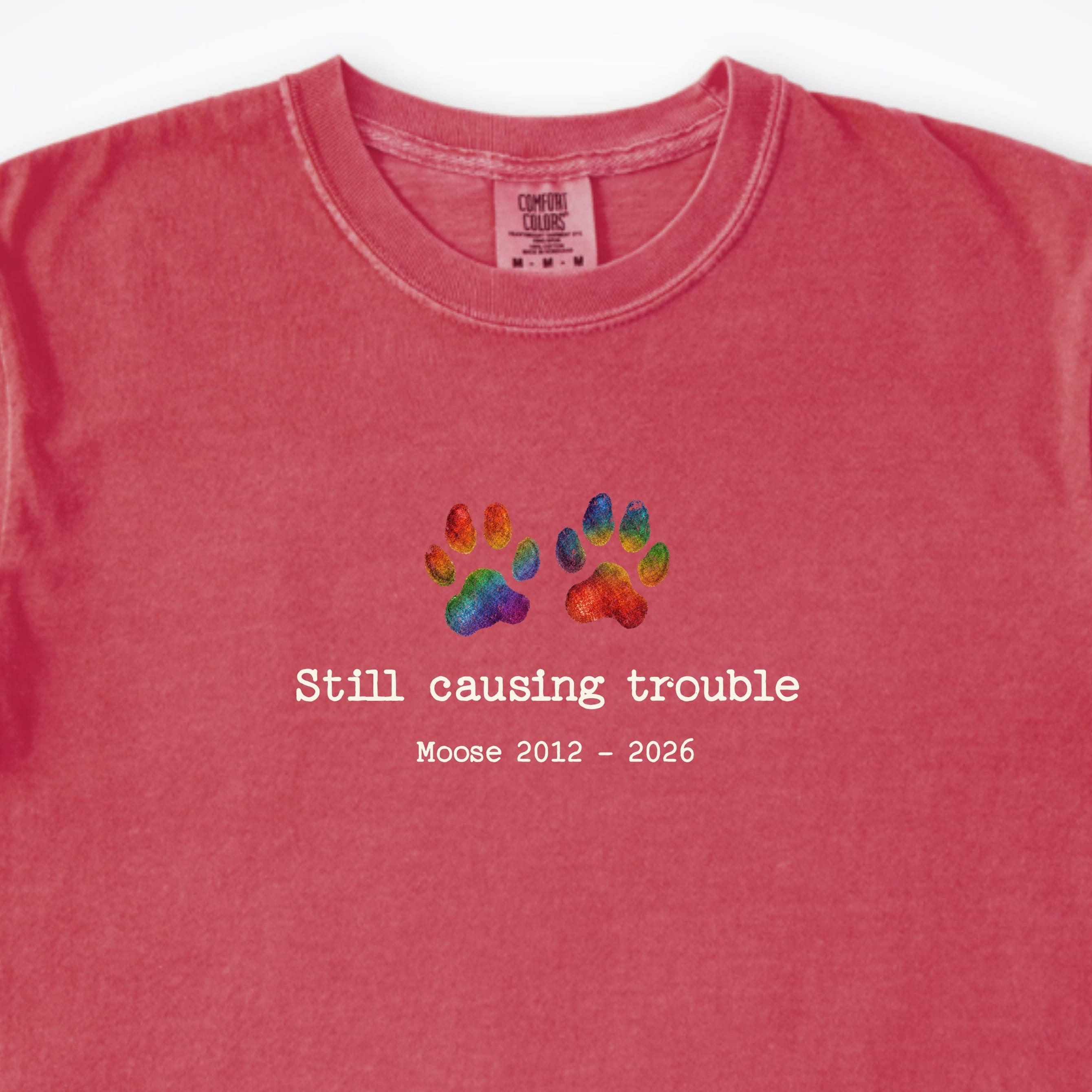 T-Shirt Still Causing Trouble - Personalized Memorial Premium T-Shirt ReallyintoDogs