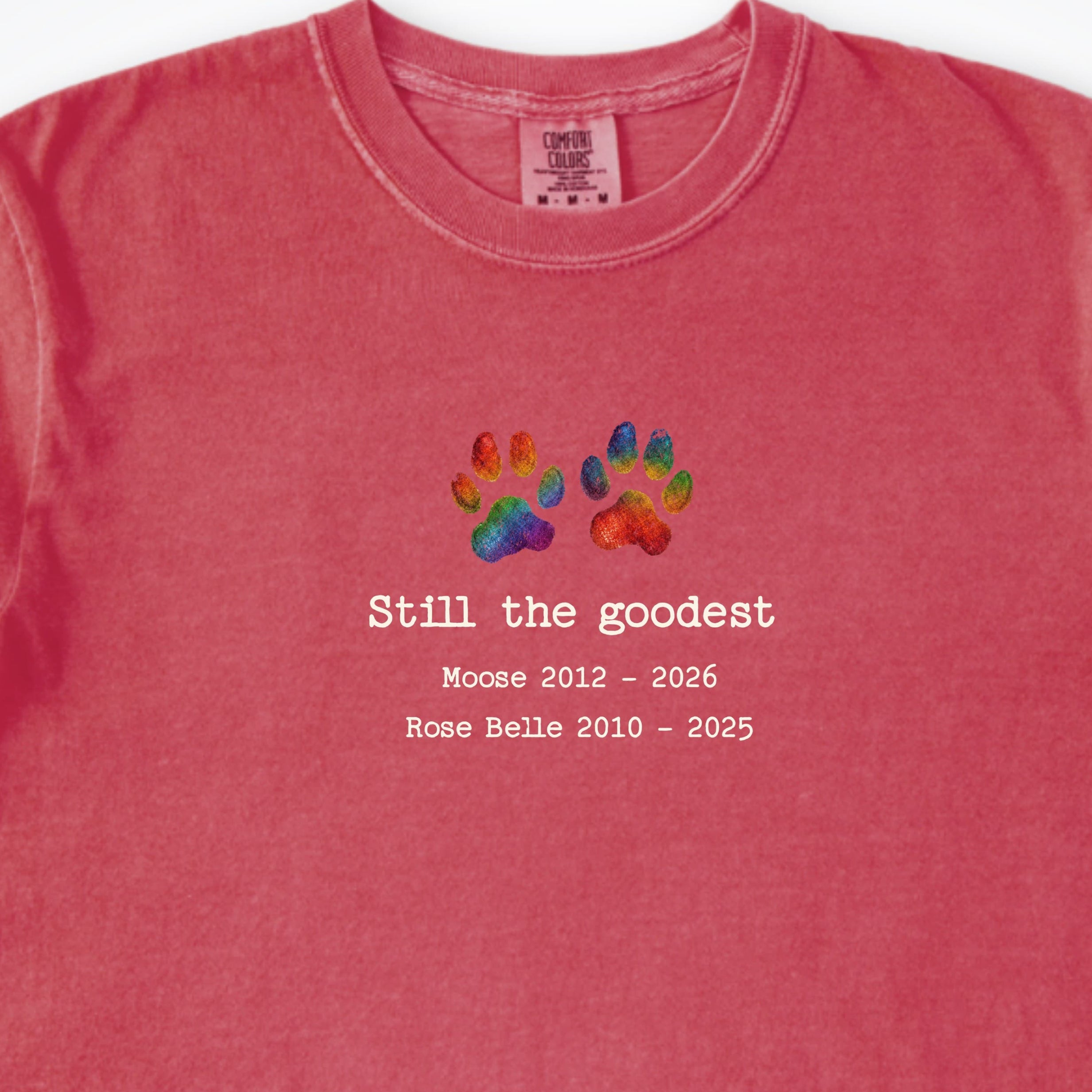 T-Shirt Watermelon / S Still The Goodest 2 Dogs - Personalized Memorial Premium T-Shirt ReallyintoDogs