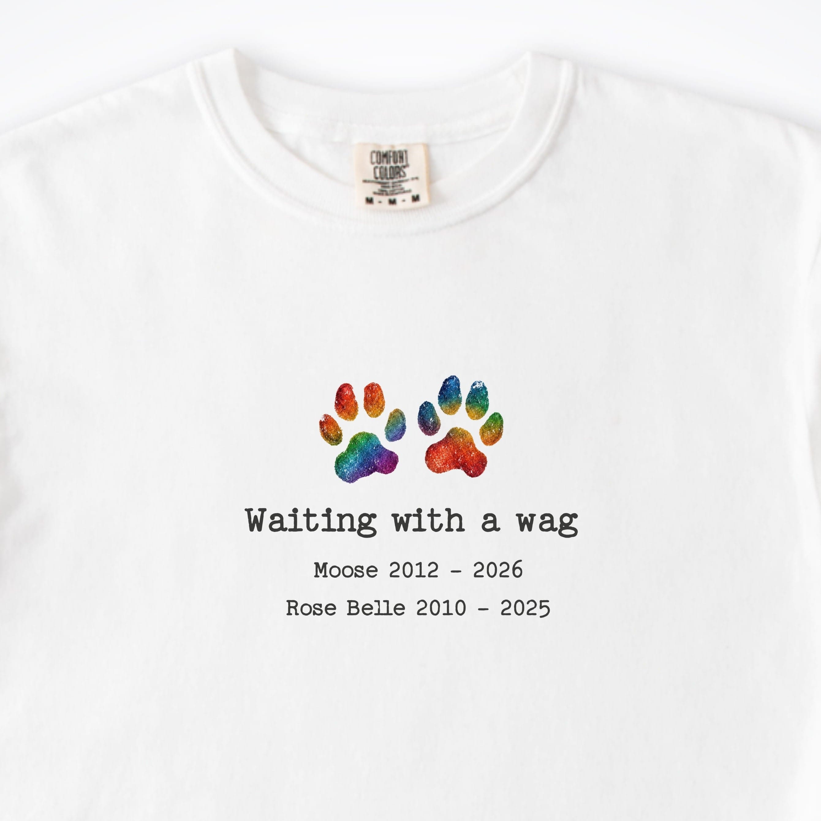 T-Shirt Waiting With A Wag 2 Dogs - Personalized Memorial Premium T-Shirt ReallyintoDogs
