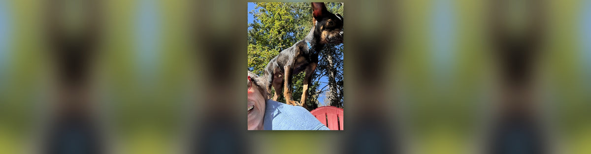 Bowie standing on Lindsay's shoulder while she laughs