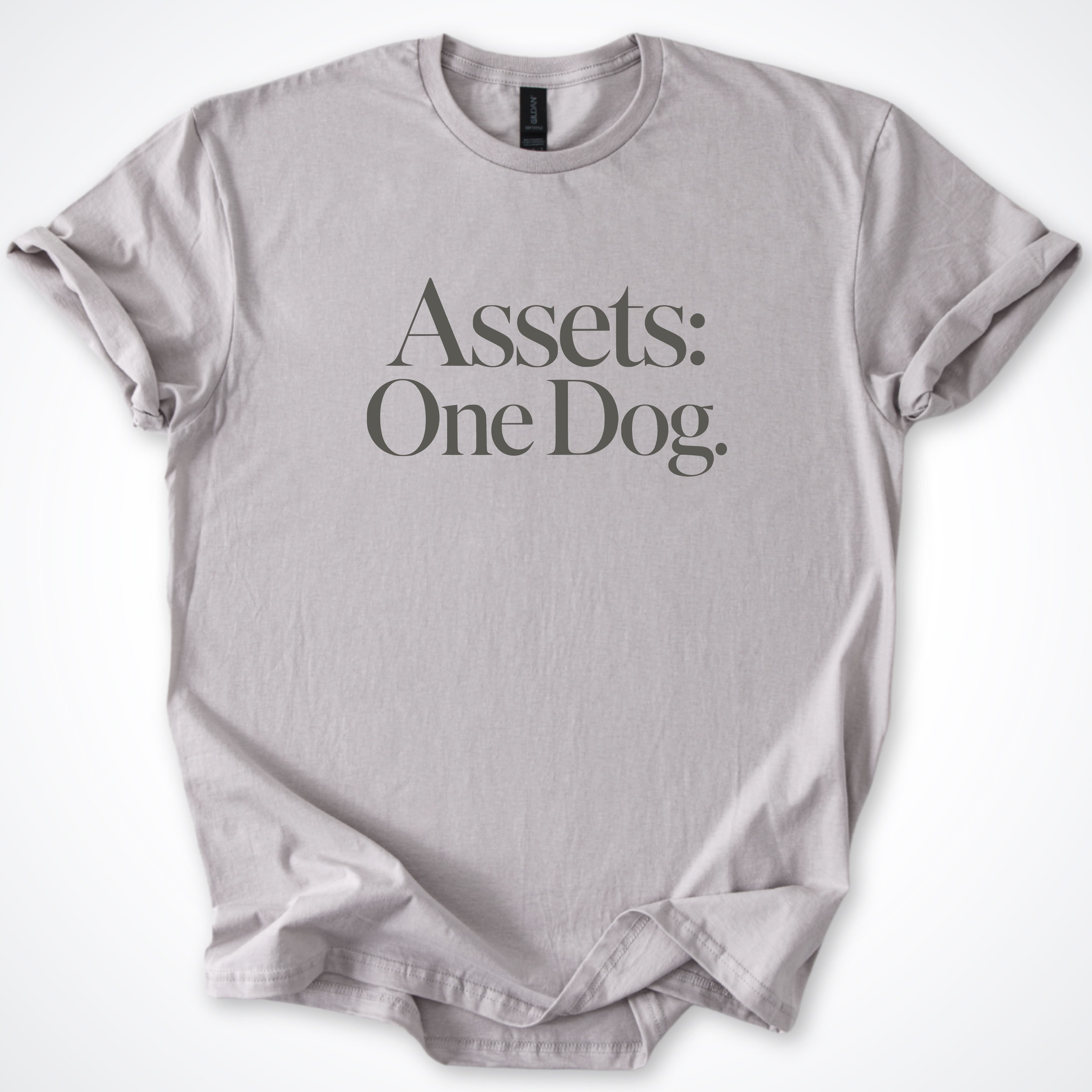 T-Shirt Ice Grey / S Assets: One Dog. Classic T-Shirt ReallyintoDogs