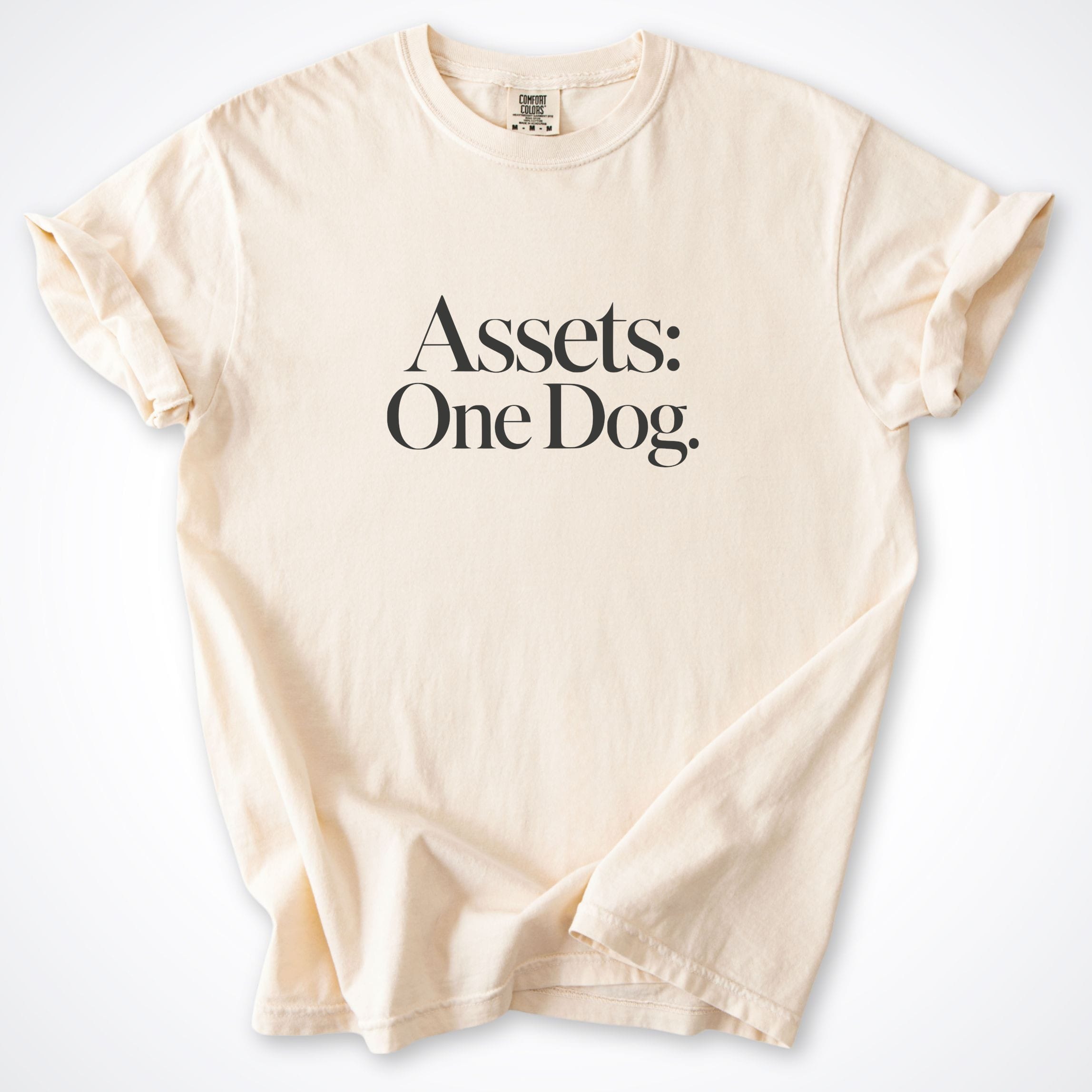 T-Shirt Ivory / S Assets: One Dog. Premium T-Shirt ReallyintoDogs