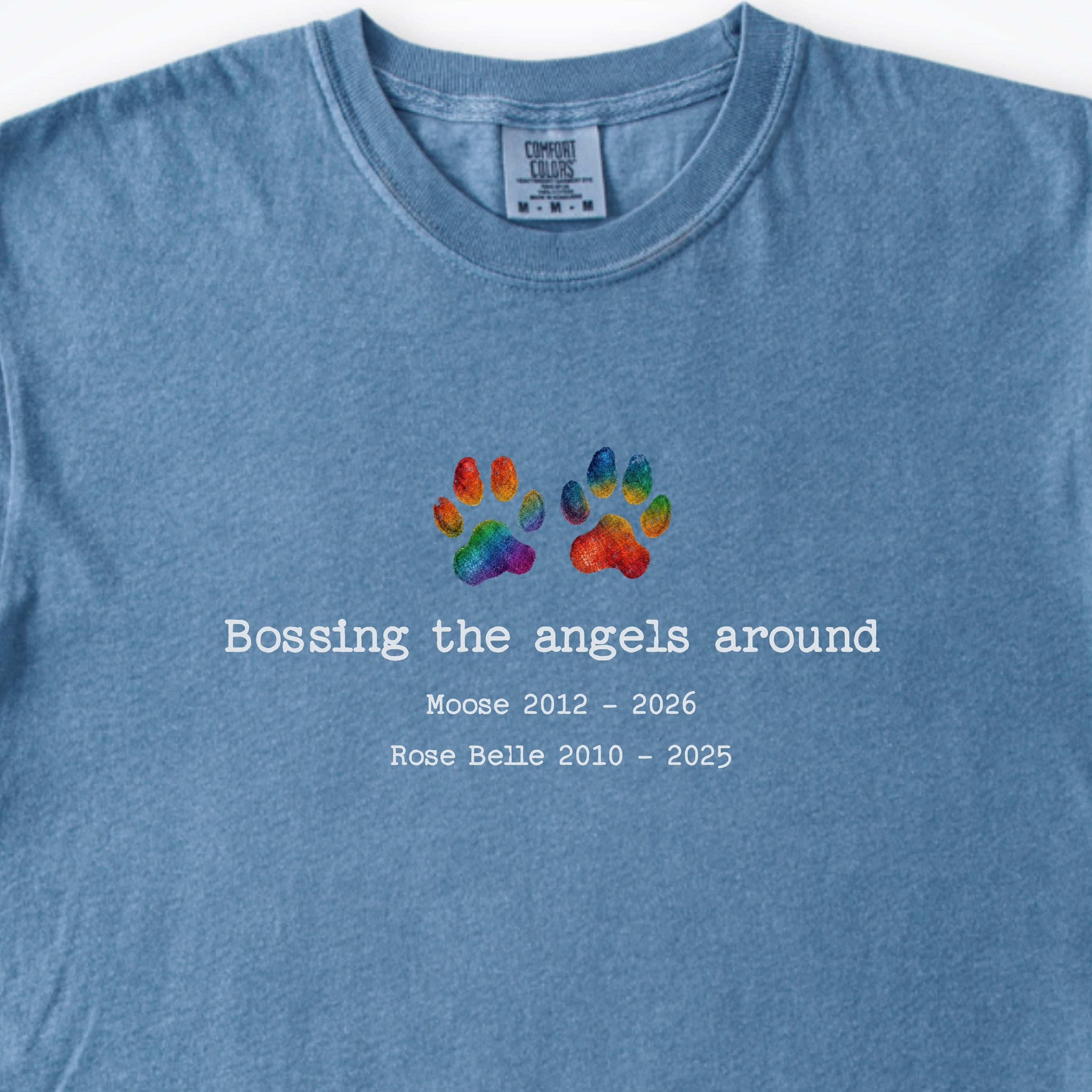 T-Shirt Blue Jean / S Bossing The Angels Around 2 Dogs - Personalized Memorial Premium T-Shirt ReallyintoDogs