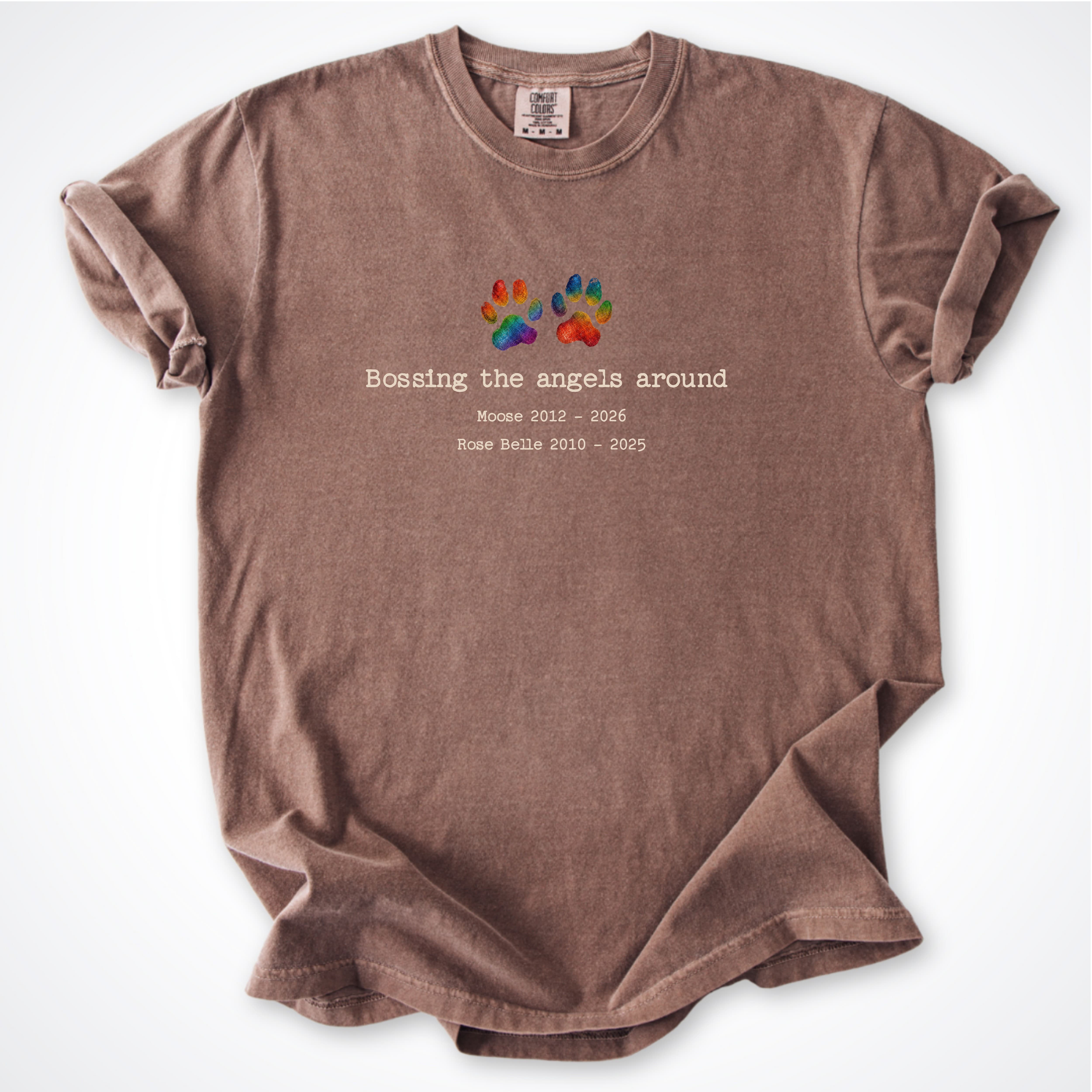 T-Shirt Espresso / S Bossing The Angels Around 2 Dogs - Personalized Memorial Premium T-Shirt ReallyintoDogs