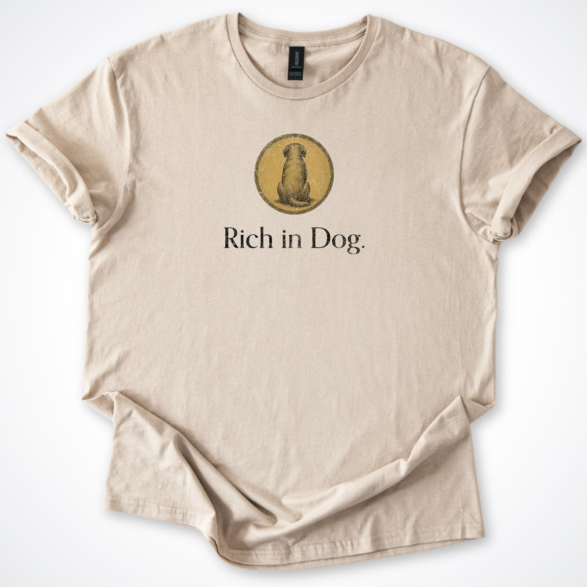 Rich in Dog Coin Classic T-Shirt