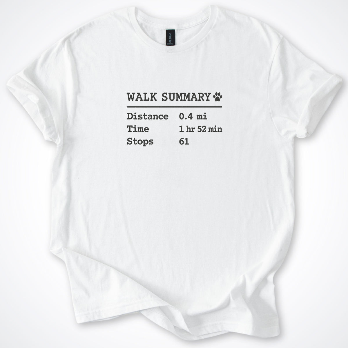 Walk Summary Classic T-Shirt