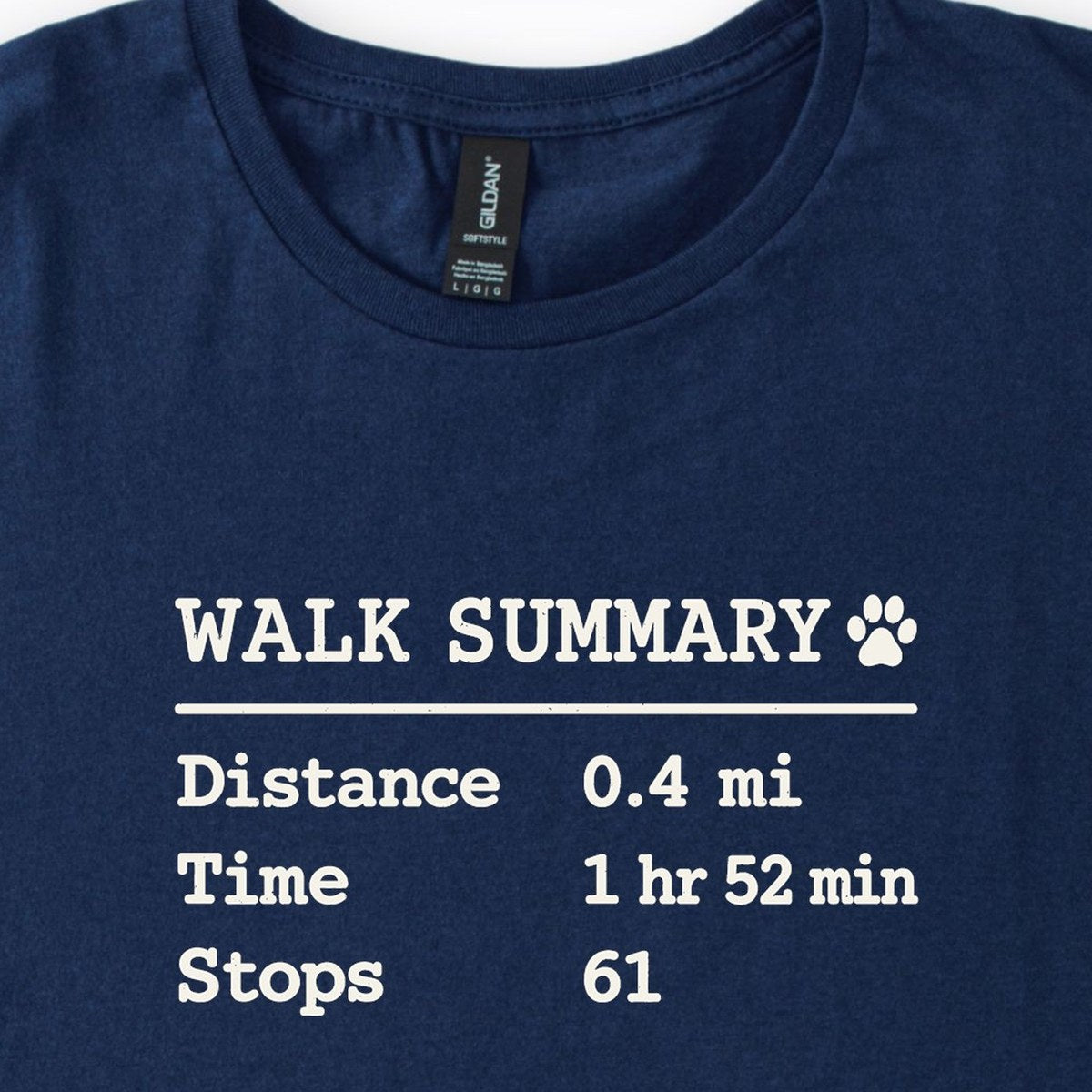 Walk Summary Classic T-Shirt
