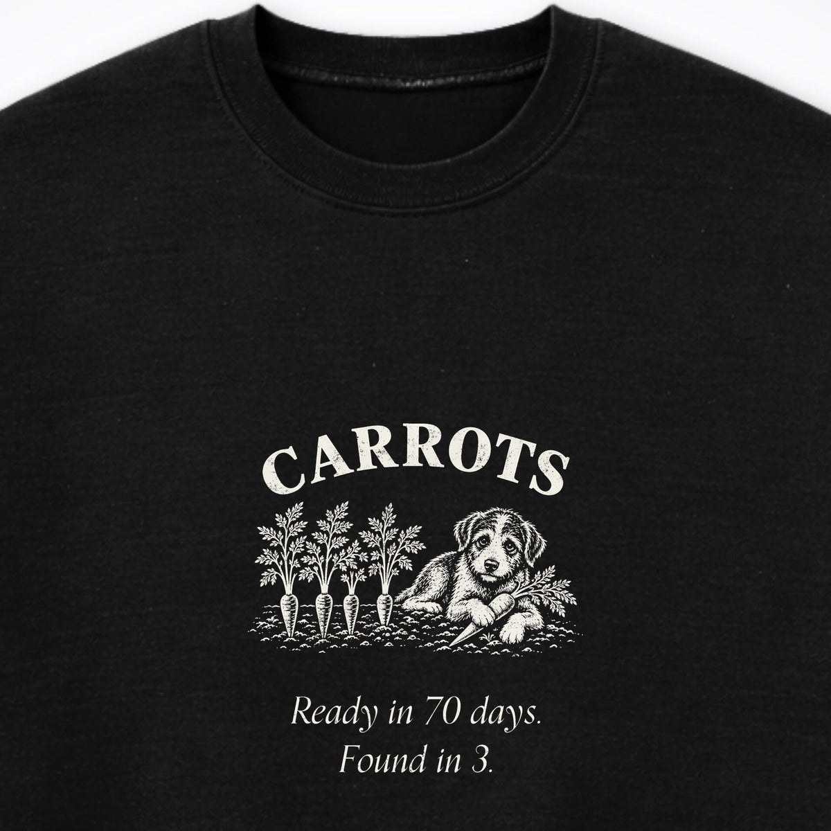 Carrots. Arch Crewneck Sweatshirt