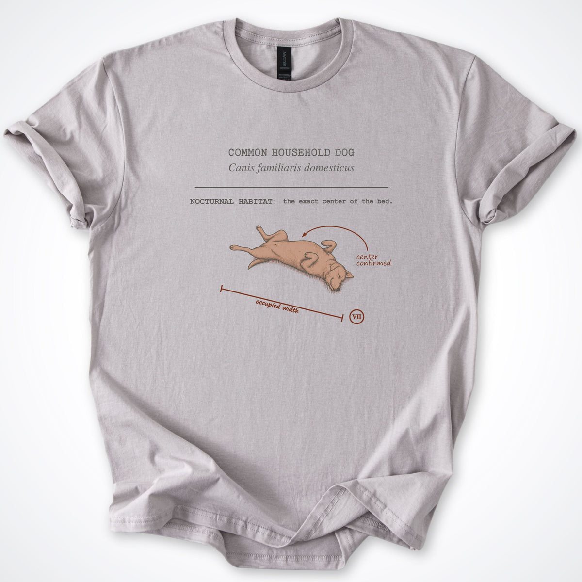 T-Shirt Ice Grey / S Field Guide - Common Household Dog Classic T-Shirt ReallyintoDogs
