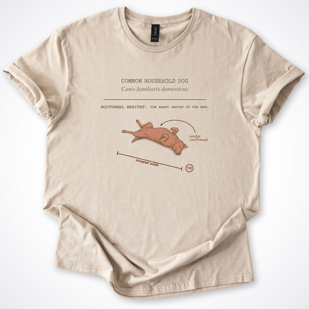 T-Shirt Sand / S Field Guide - Common Household Dog Classic T-Shirt ReallyintoDogs