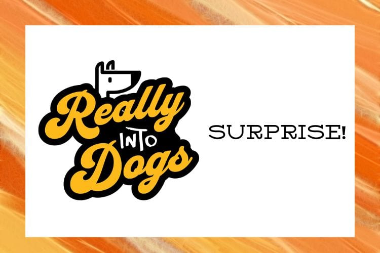 $25.00 Gift Card ReallyintoDogs