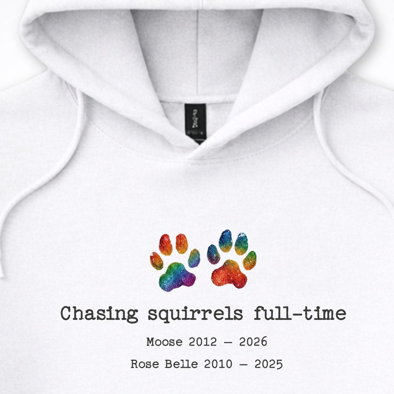 Chasing Squirrels Full Time 2 Dogs - Personalized Memorial Hooded Sweatshirt