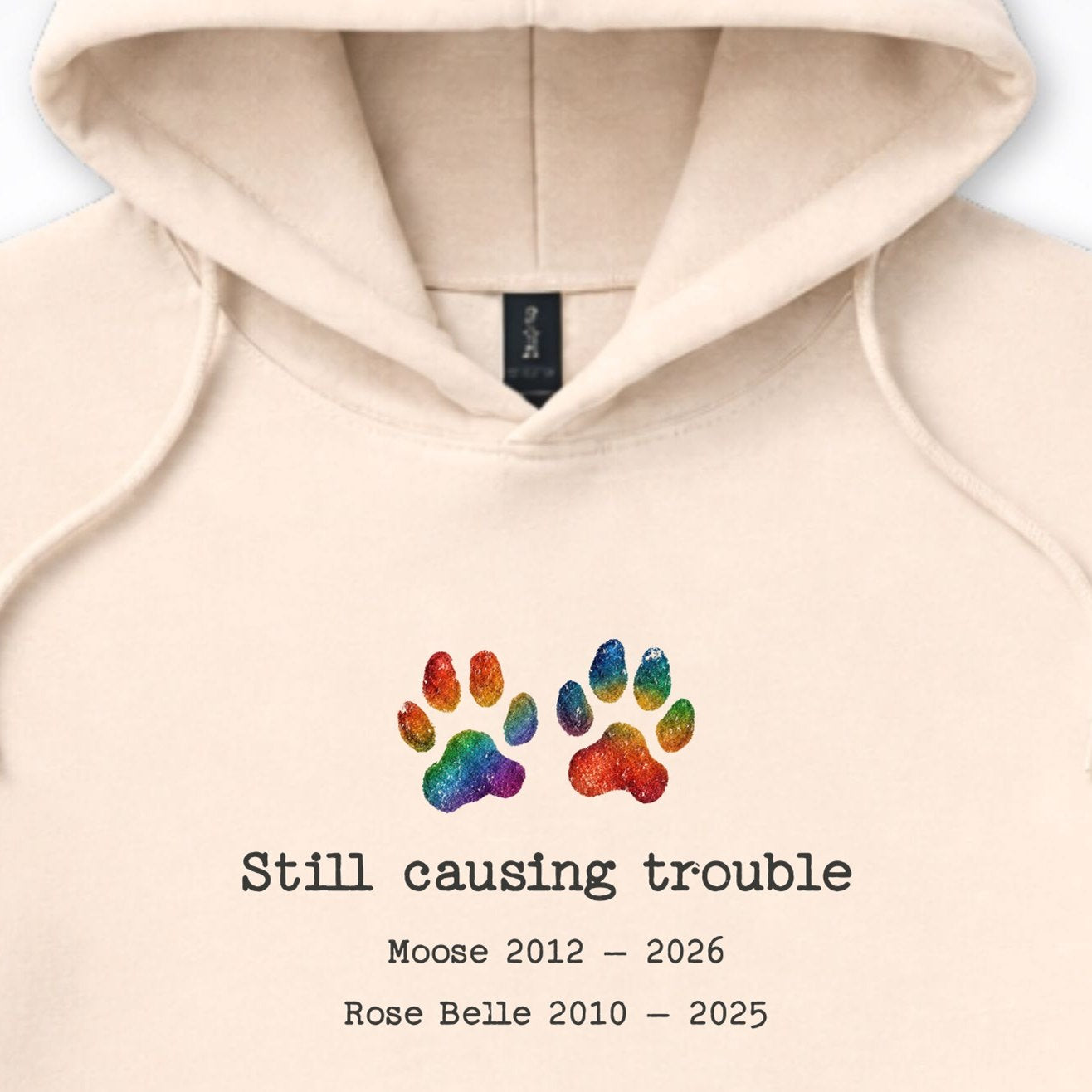 Still Causing Trouble 2 Dogs - Personalized Memorial Hooded Sweatshirt