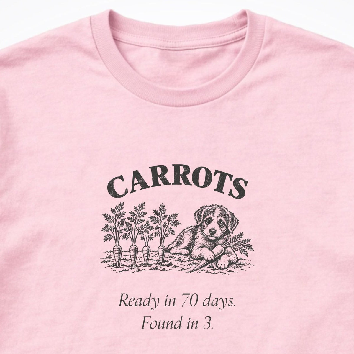 Carrots. Arch Long Sleeve Shirt