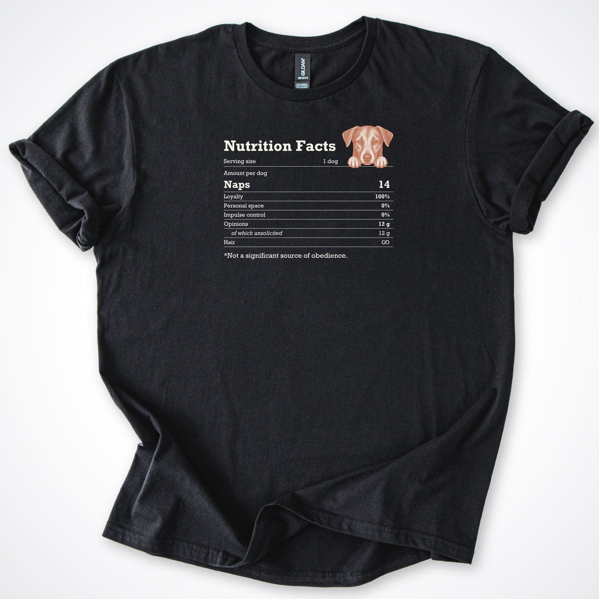 T-Shirt Black / S Not A Significant Source Of Obedience Classic T-Shirt ReallyintoDogs