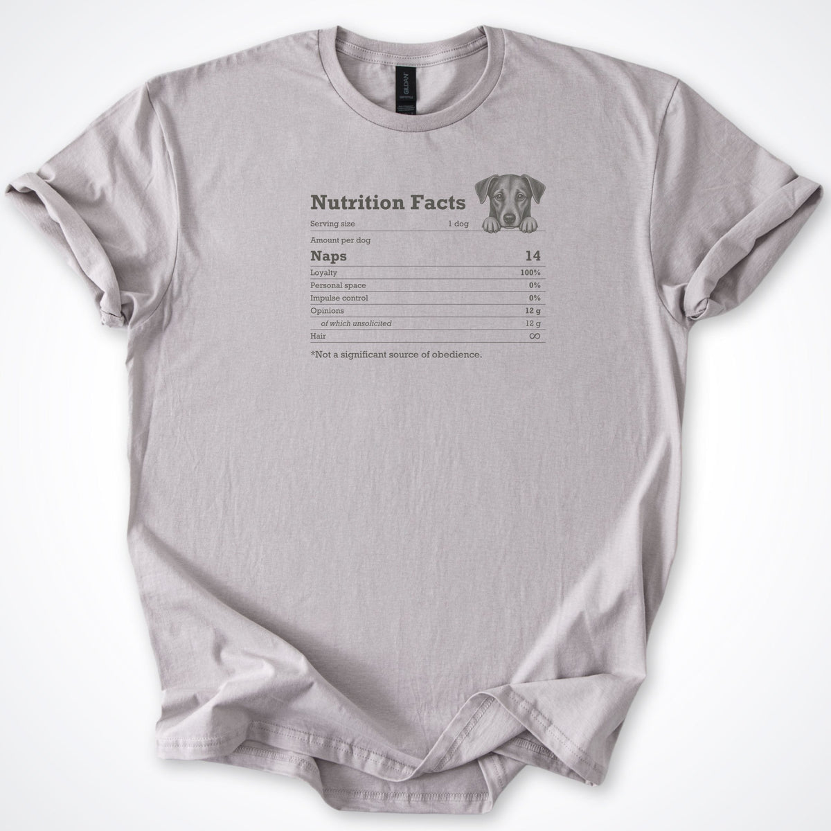 T-Shirt Ice Grey / S Not A Significant Source Of Obedience Classic T-Shirt ReallyintoDogs