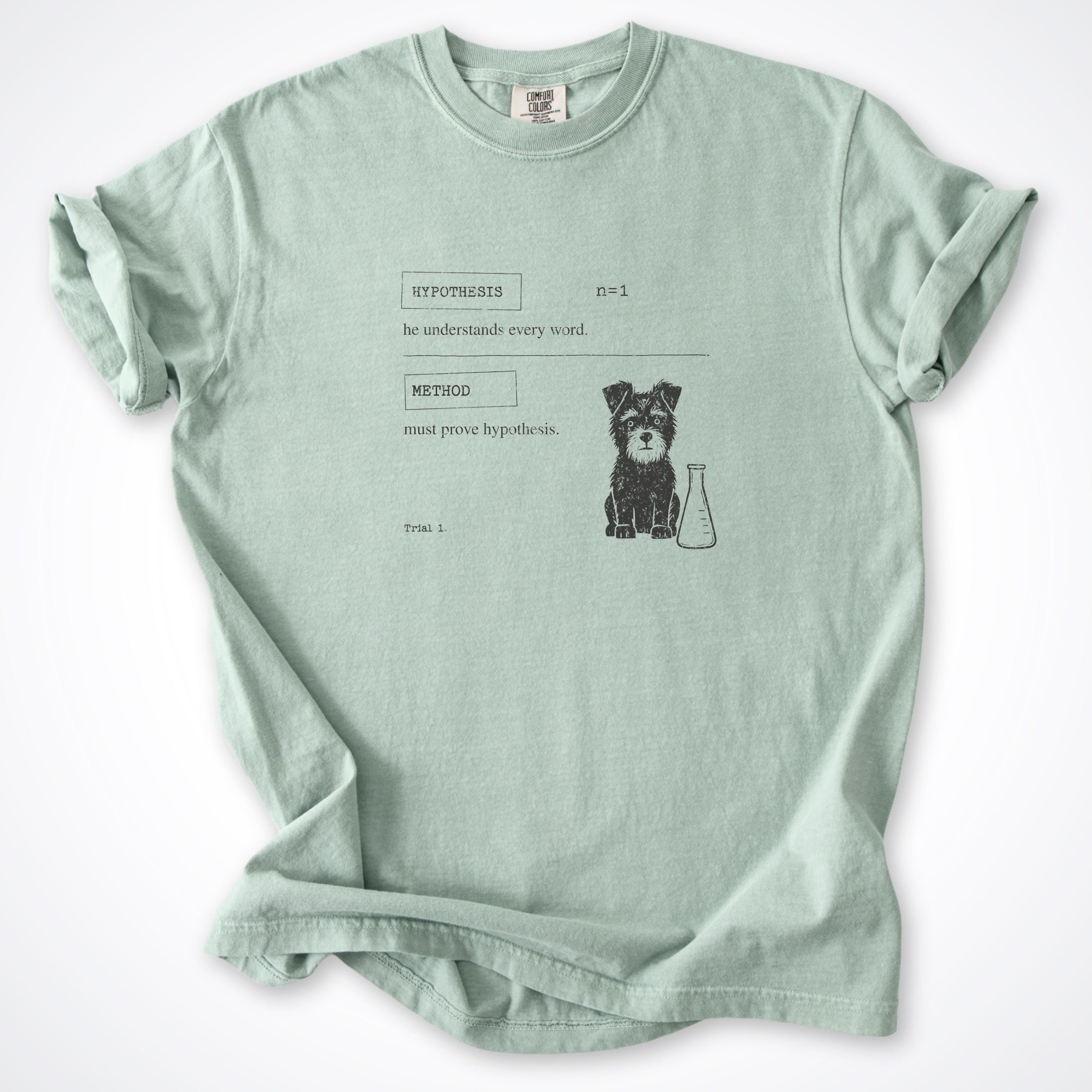 Hypothesis Premium T-Shirt