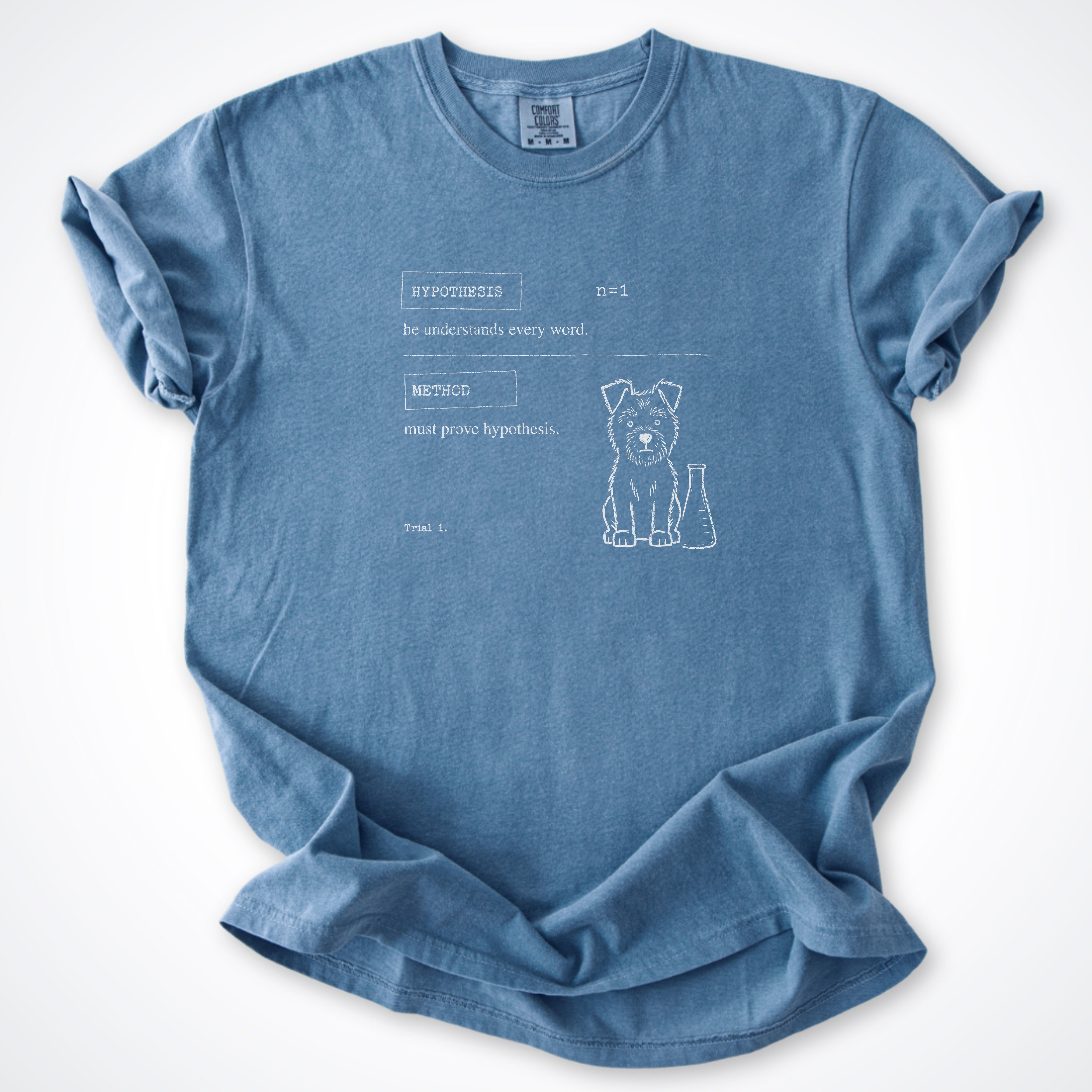 Hypothesis Premium T-Shirt