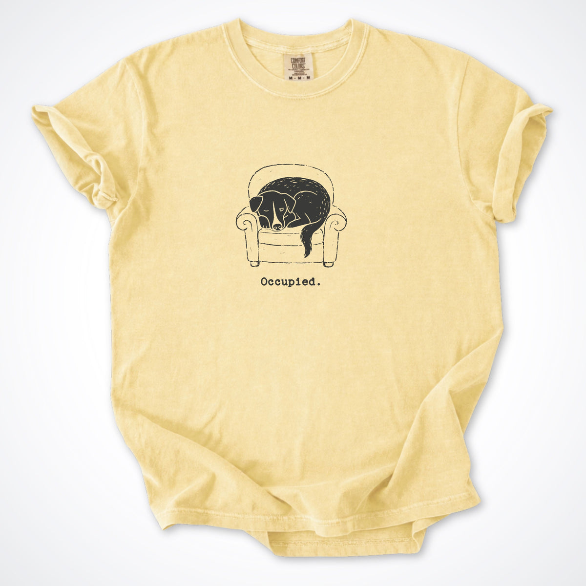 Occupied Premium T-Shirt