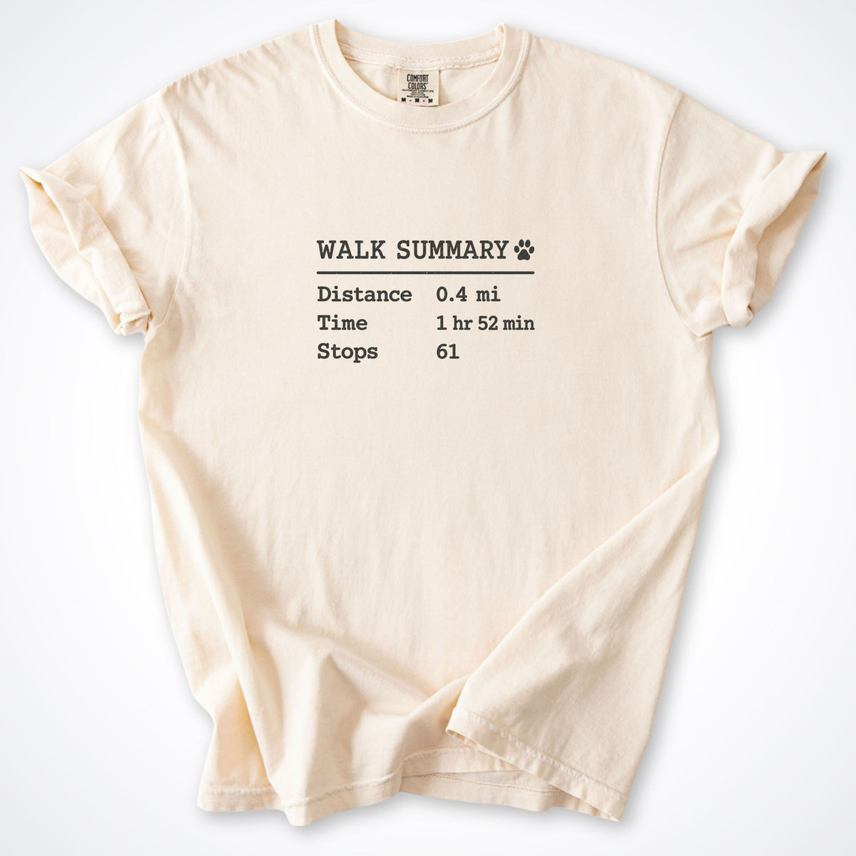 Walk Summary Premium T-Shirt