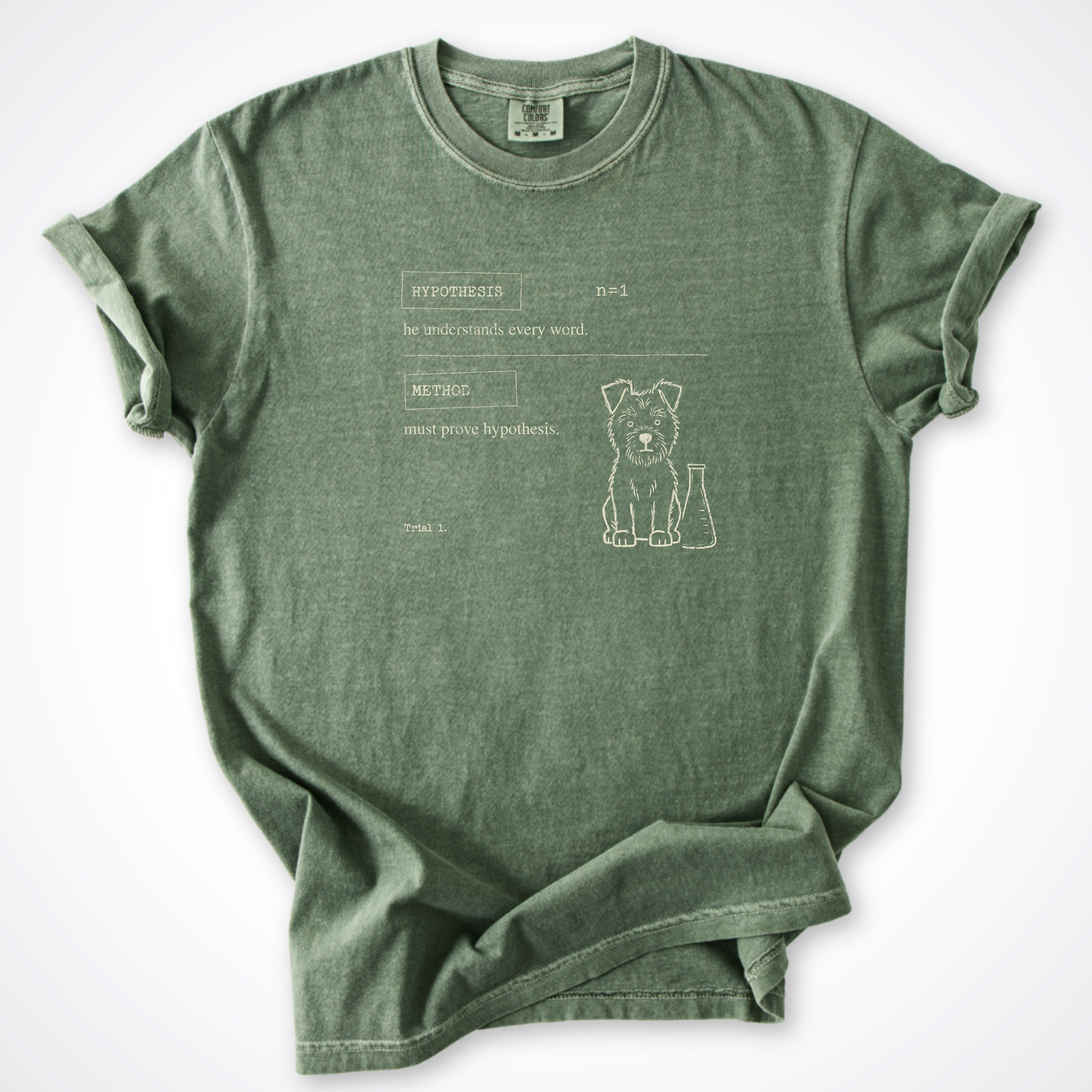 Hypothesis Premium T-Shirt