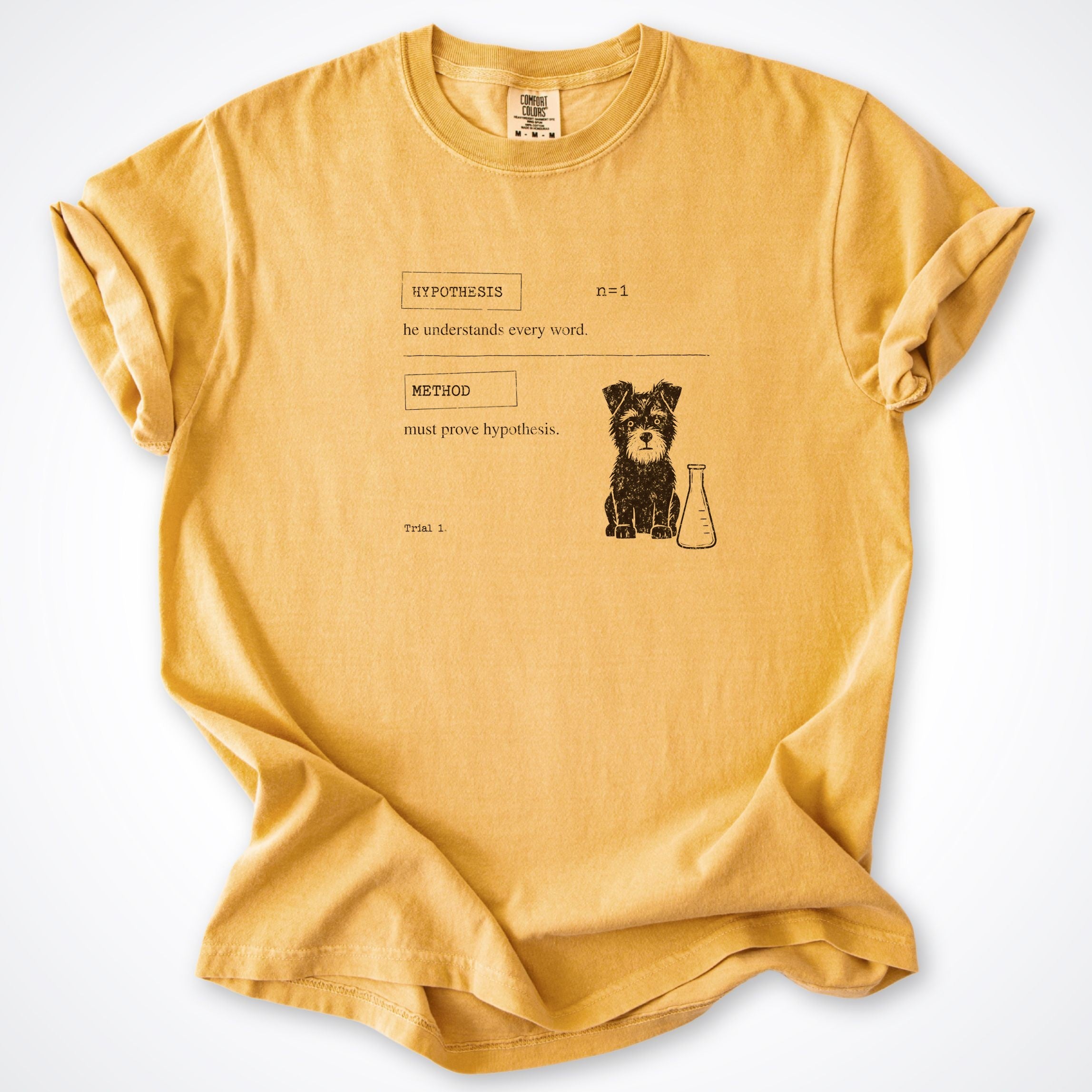 Hypothesis Premium T-Shirt