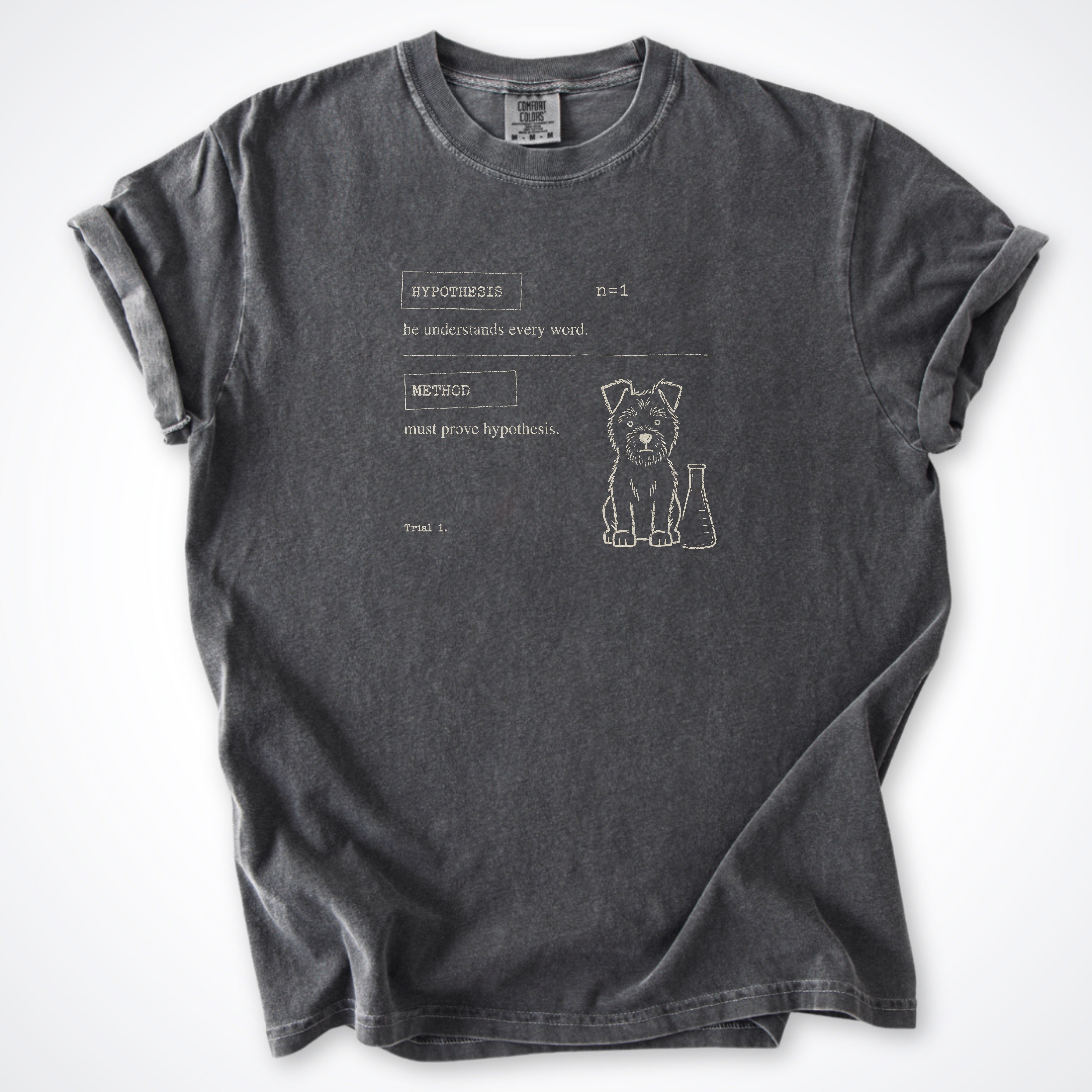 Hypothesis Premium T-Shirt
