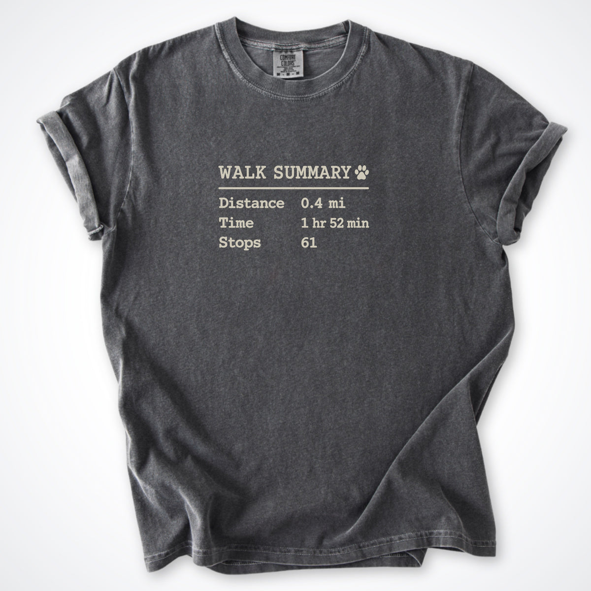 Walk Summary Premium T-Shirt