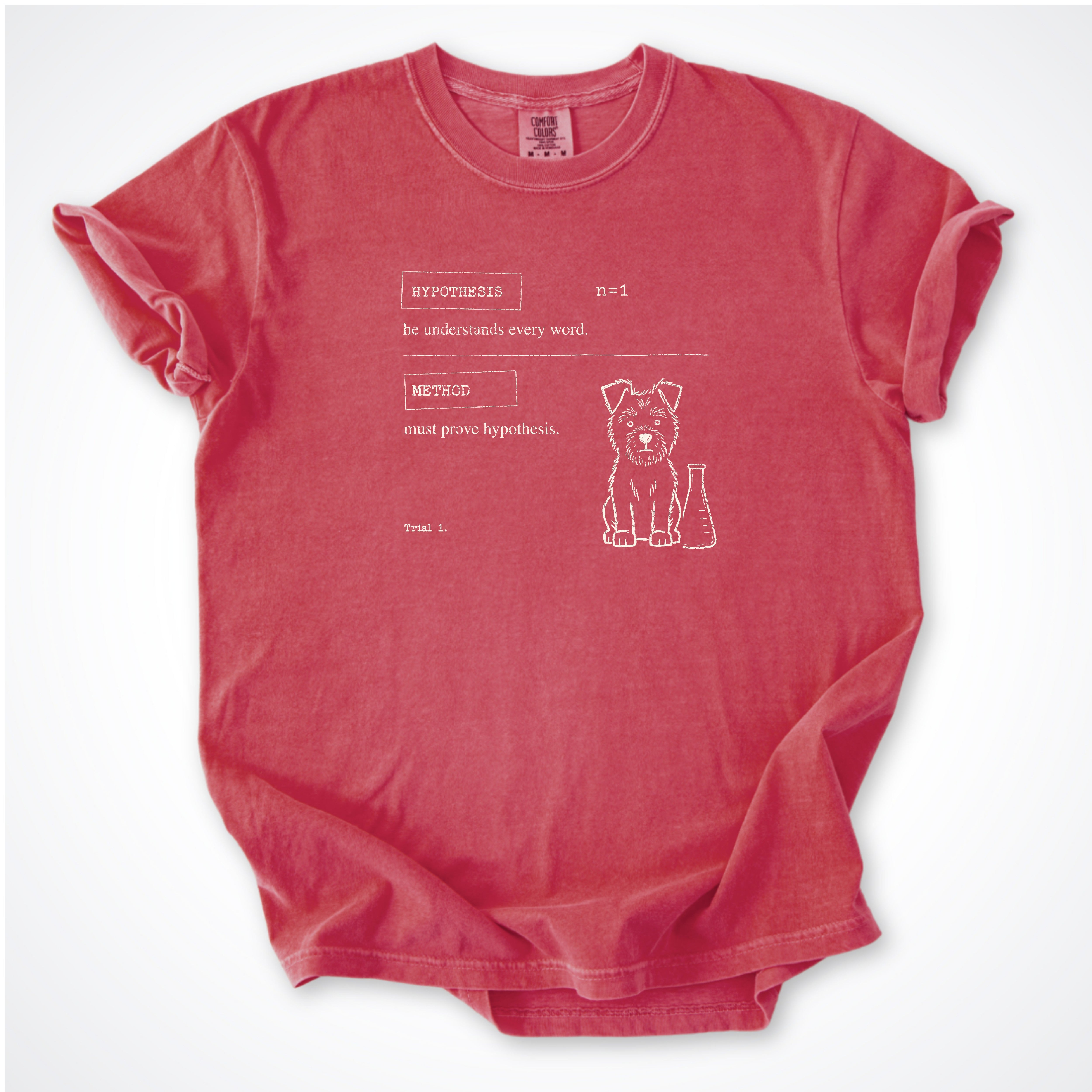 Hypothesis Premium T-Shirt