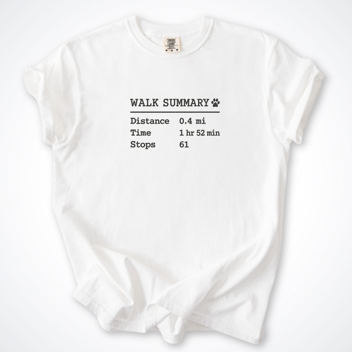 Walk Summary Premium T-Shirt