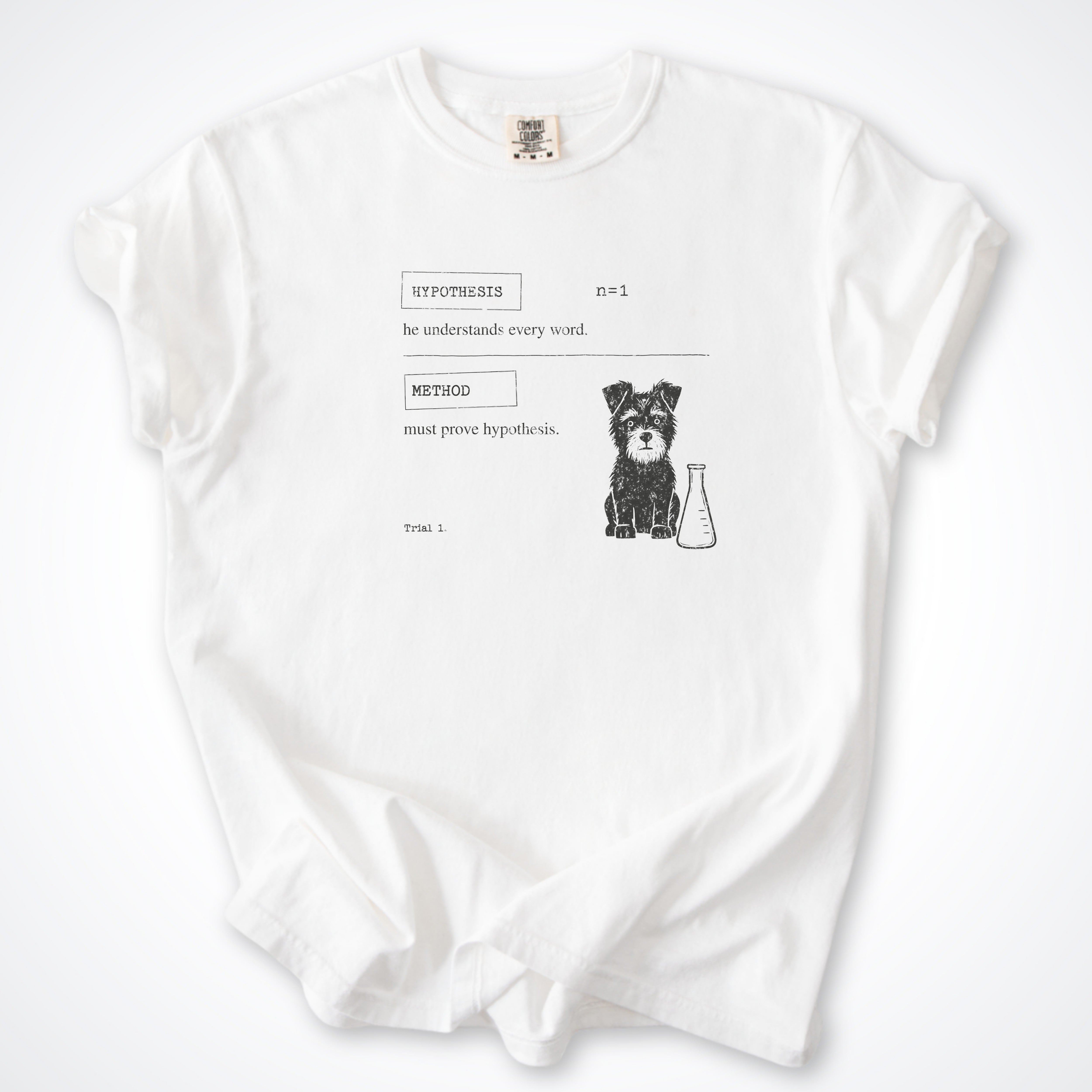 Hypothesis Premium T-Shirt