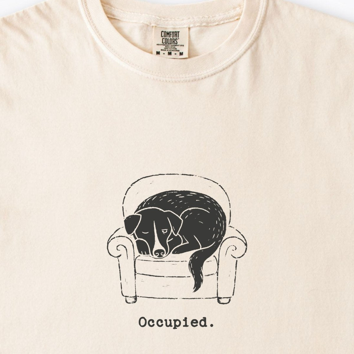 Occupied Premium T-Shirt