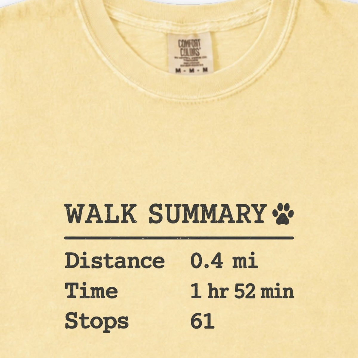 Walk Summary Premium T-Shirt