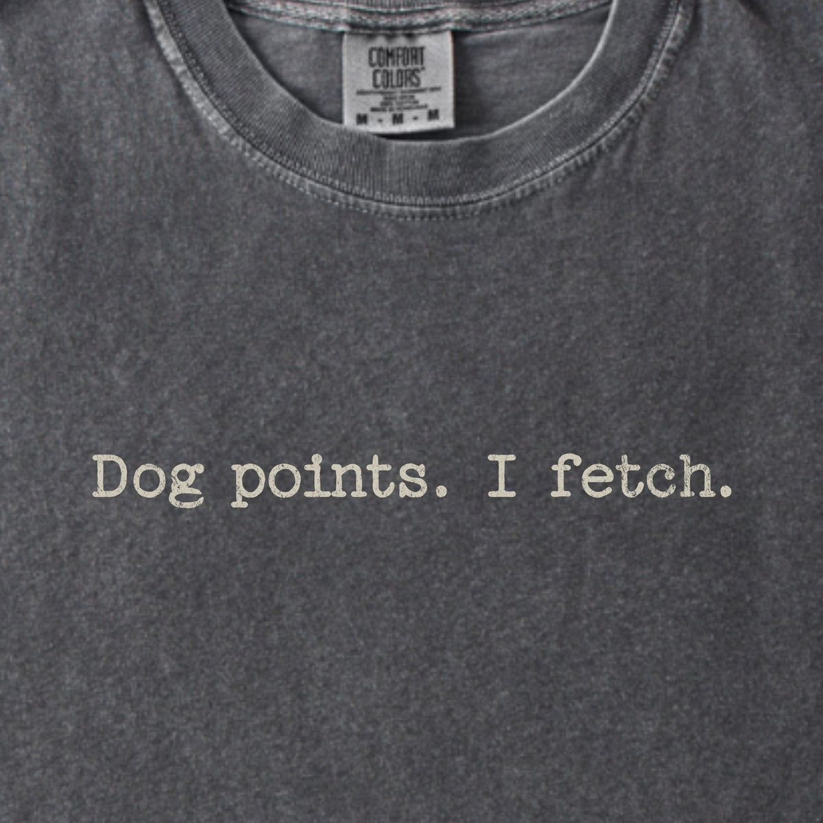 Dog Points. I Fetch. Premium T-Shirt