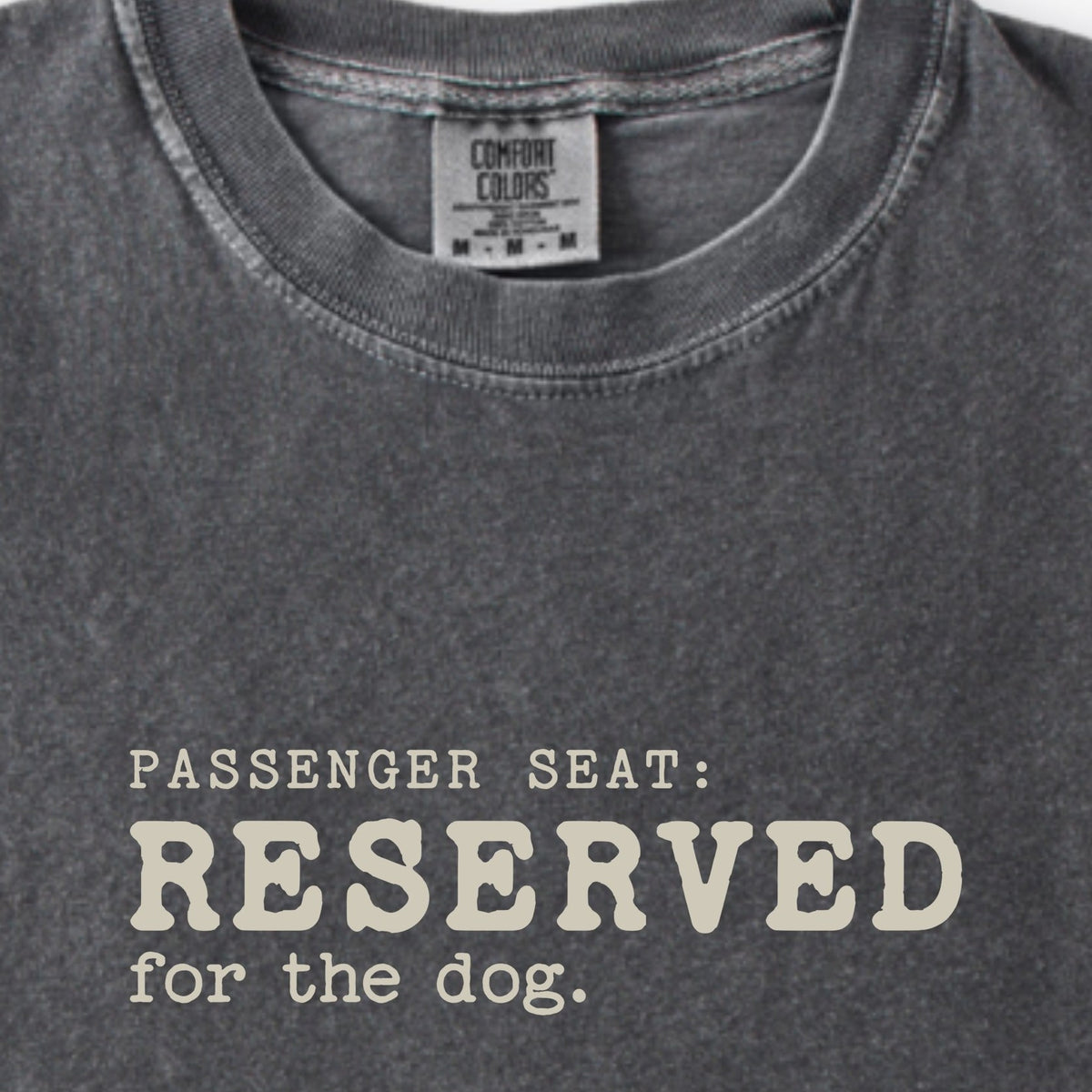 Passenger Seat: Reserved For The Dog Premium T-Shirt