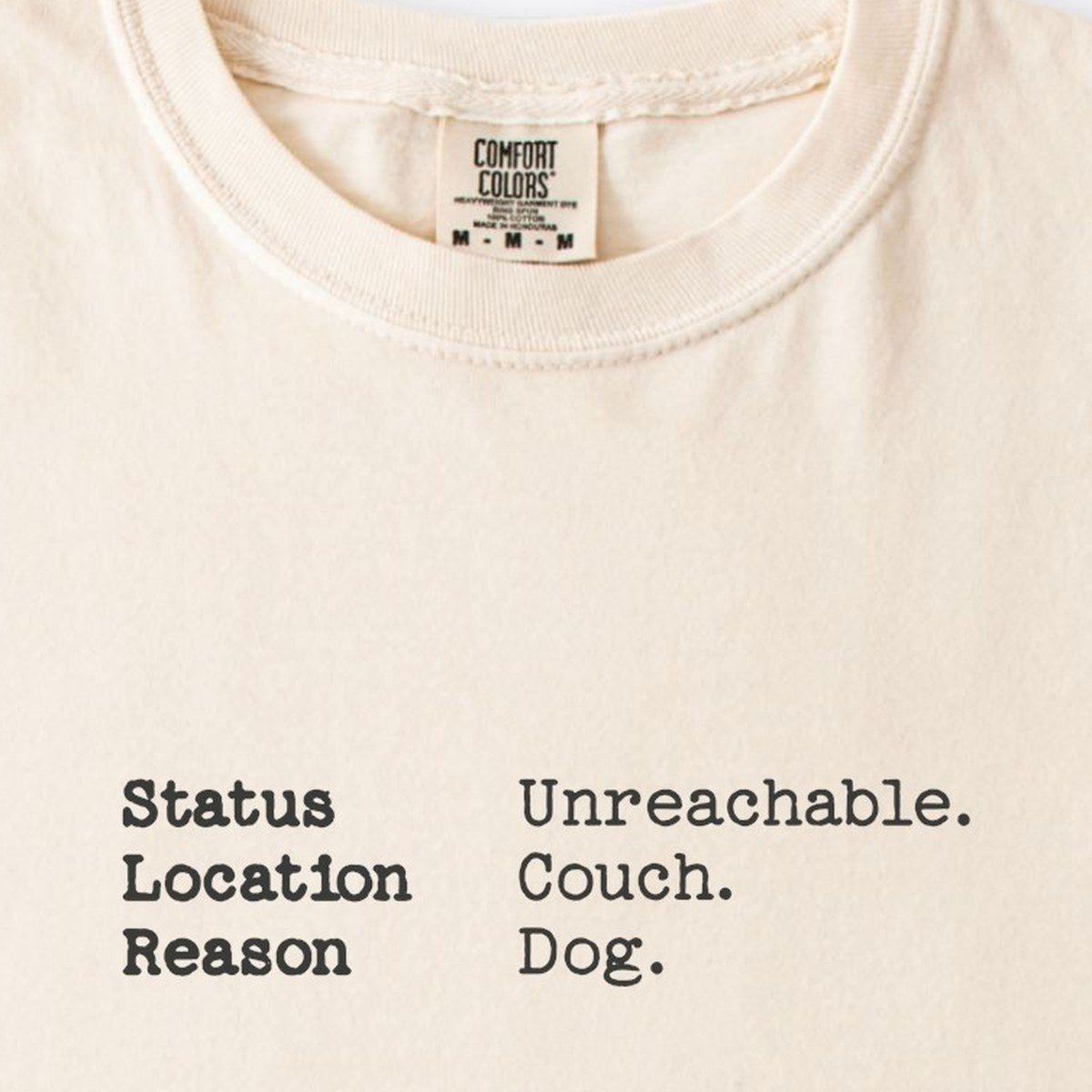 Status: Unreachable Premium T-Shirt